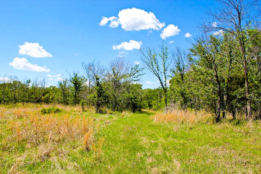 Saddlebrook Ranch Tract 44 photo 4