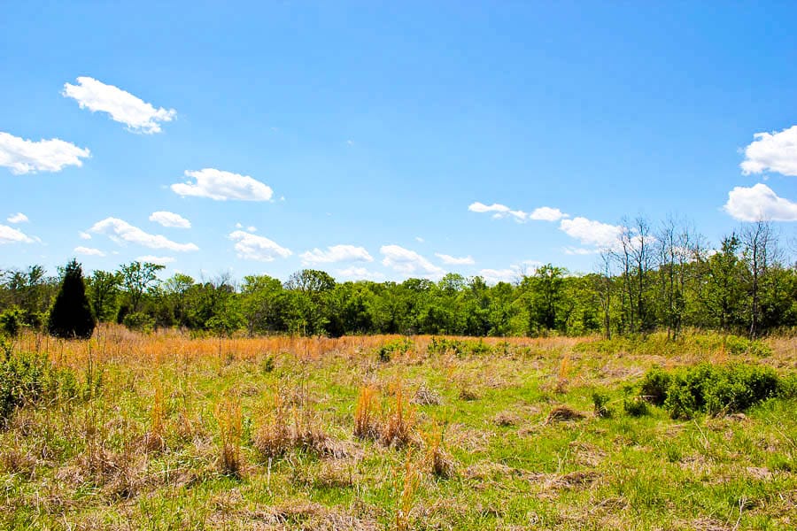 Saddlebrook Ranch Tract 44 photo 5