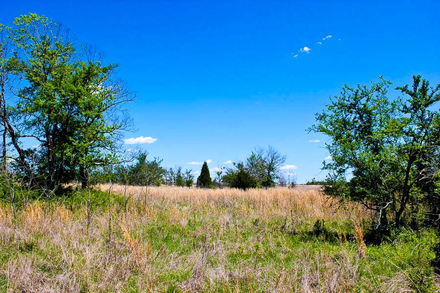 Saddlebrook Ranch Tract 44 photo 8