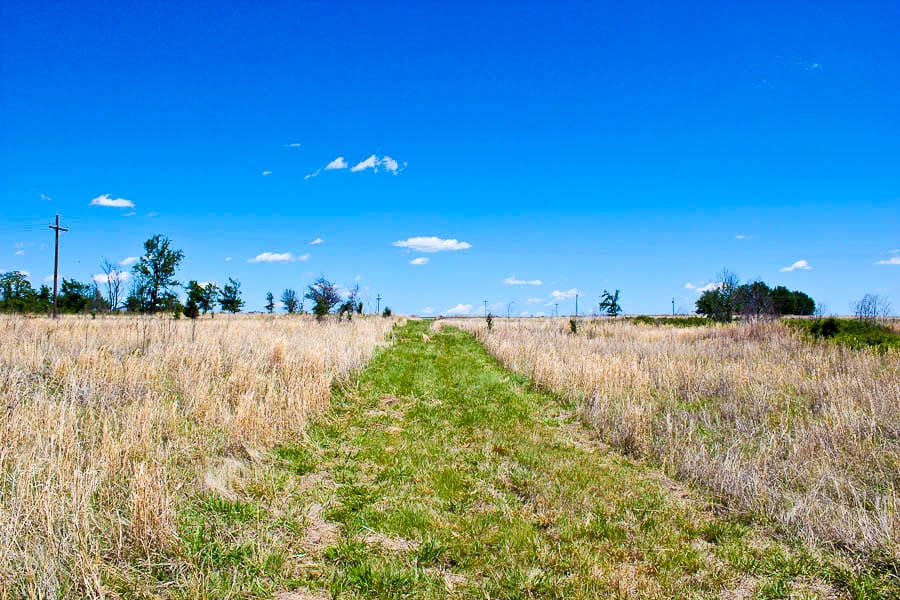 Saddlebrook Ranch Tract 44 photo 9