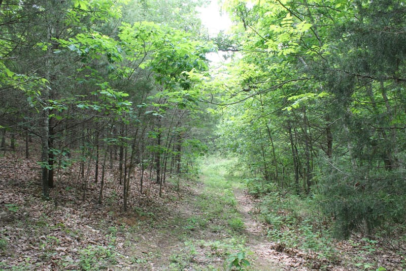 Cedar Ridge Ranch Tract 35 photo 1