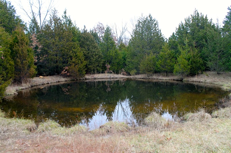 Cedar Ridge Ranch Tract 35 photo 10