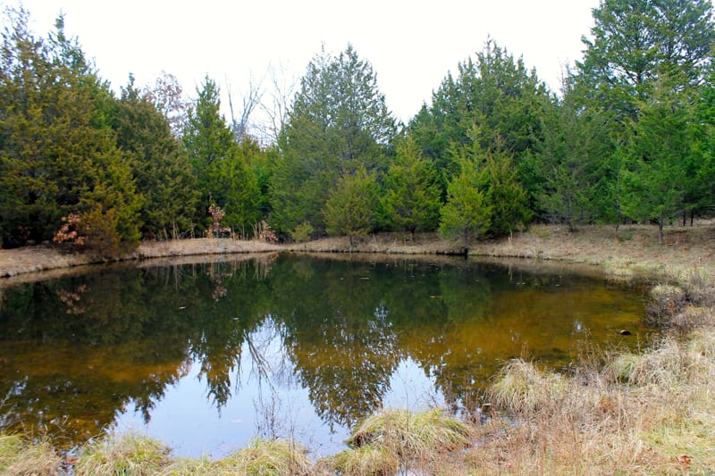 Cedar Ridge Ranch Tract 35 photo 11