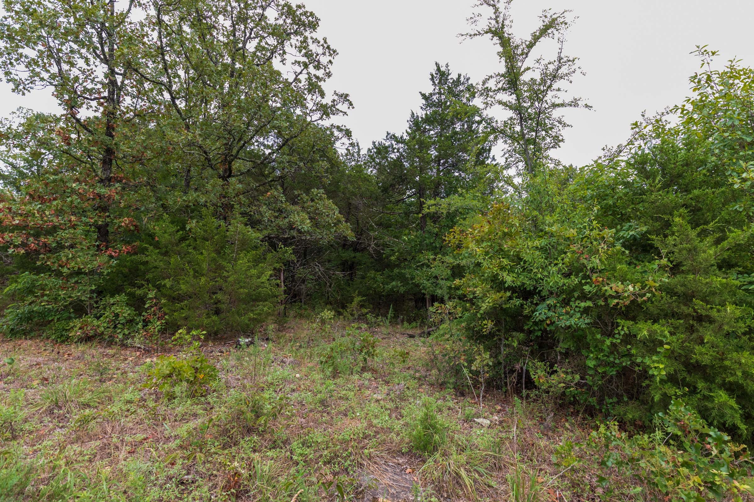 Heritage Bend Tract 45 photo 5