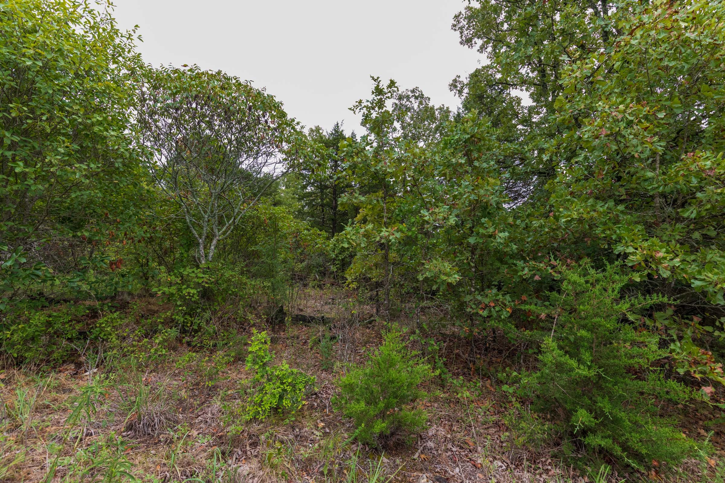 Heritage Bend Tract 45 photo 4