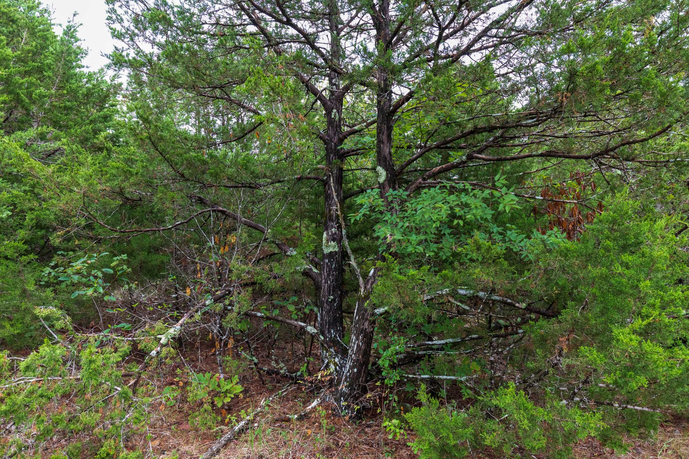 Heritage Bend Tract 45 photo 2