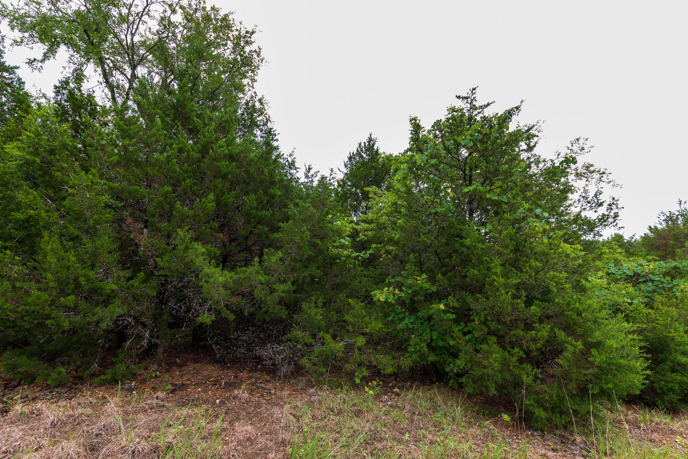 Heritage Bend Tract 45 photo 7