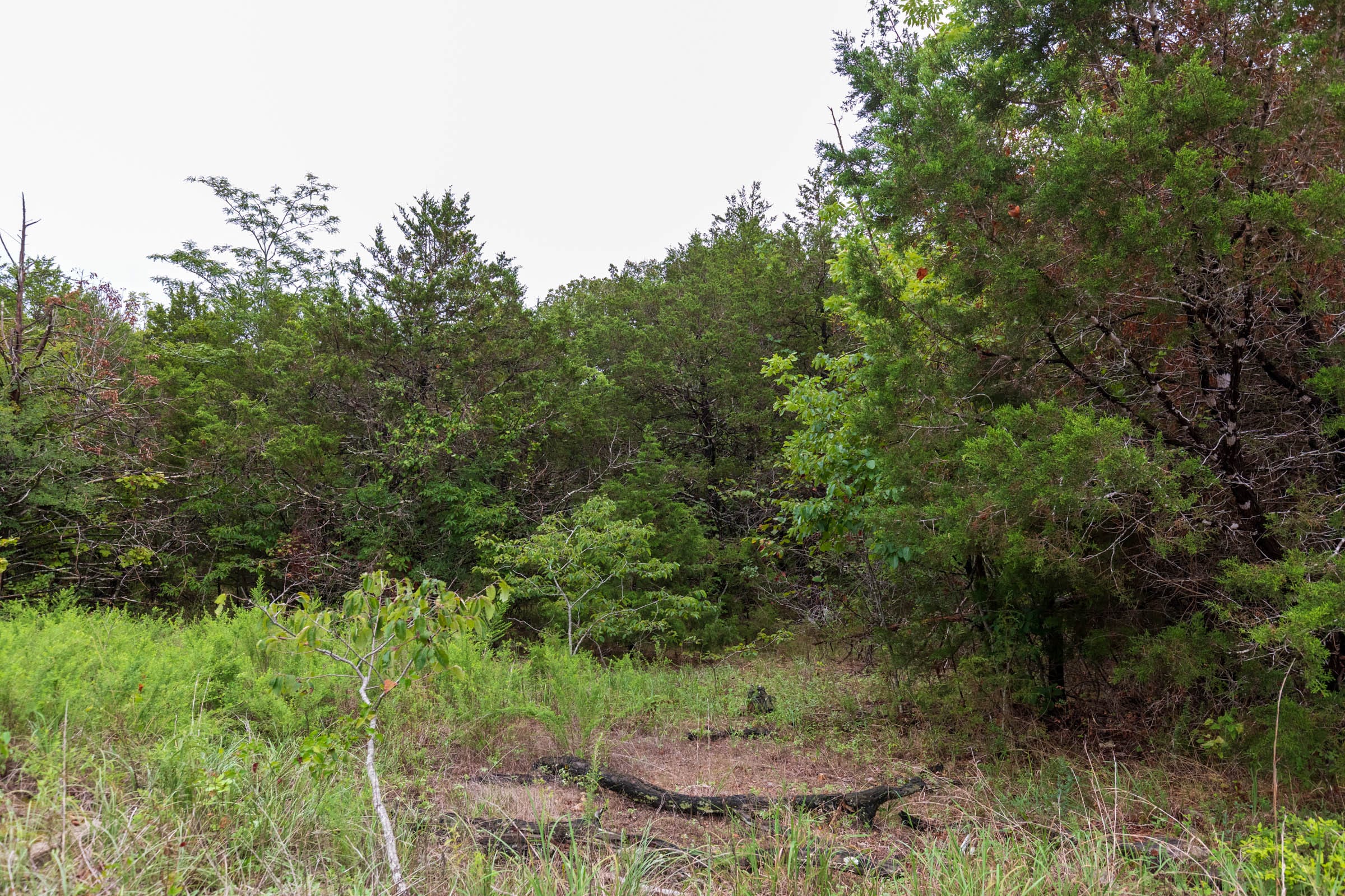Heritage Bend Tract 45 photo 3