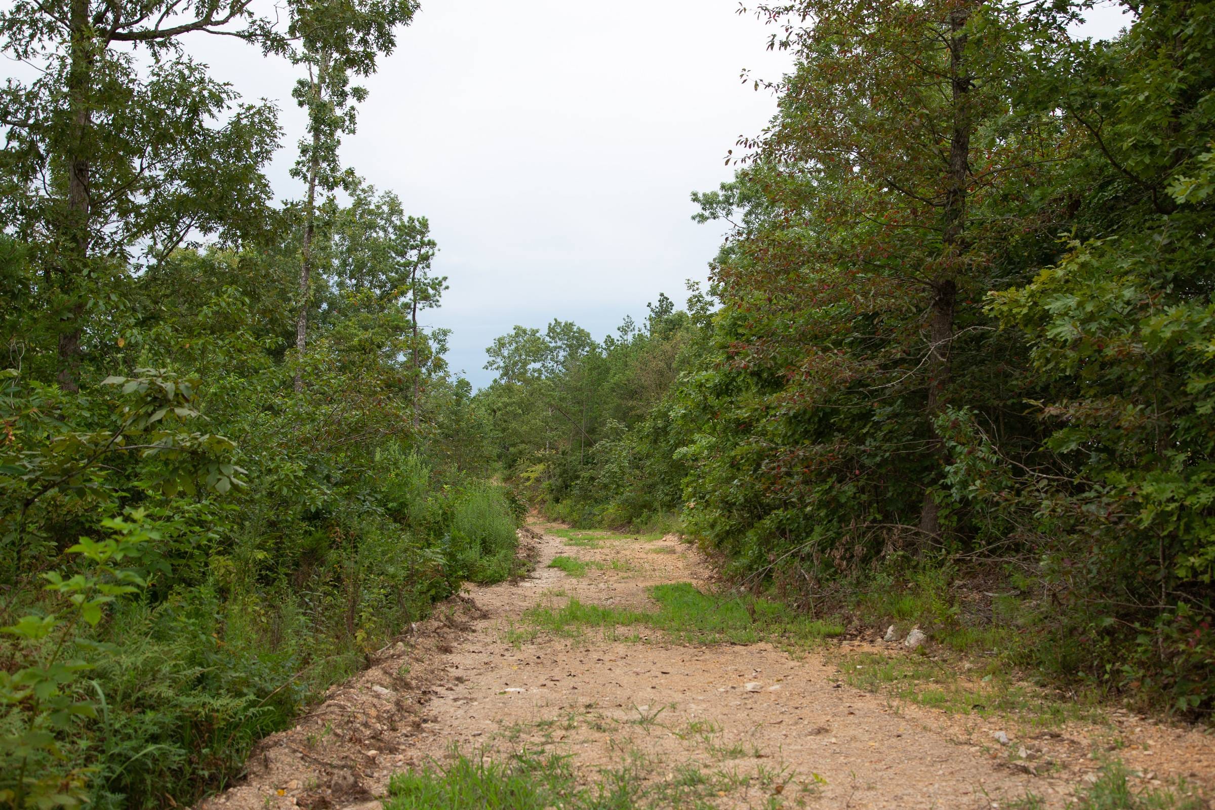 Borgmann’s Hollow Phase II Tract 35 photo 6
