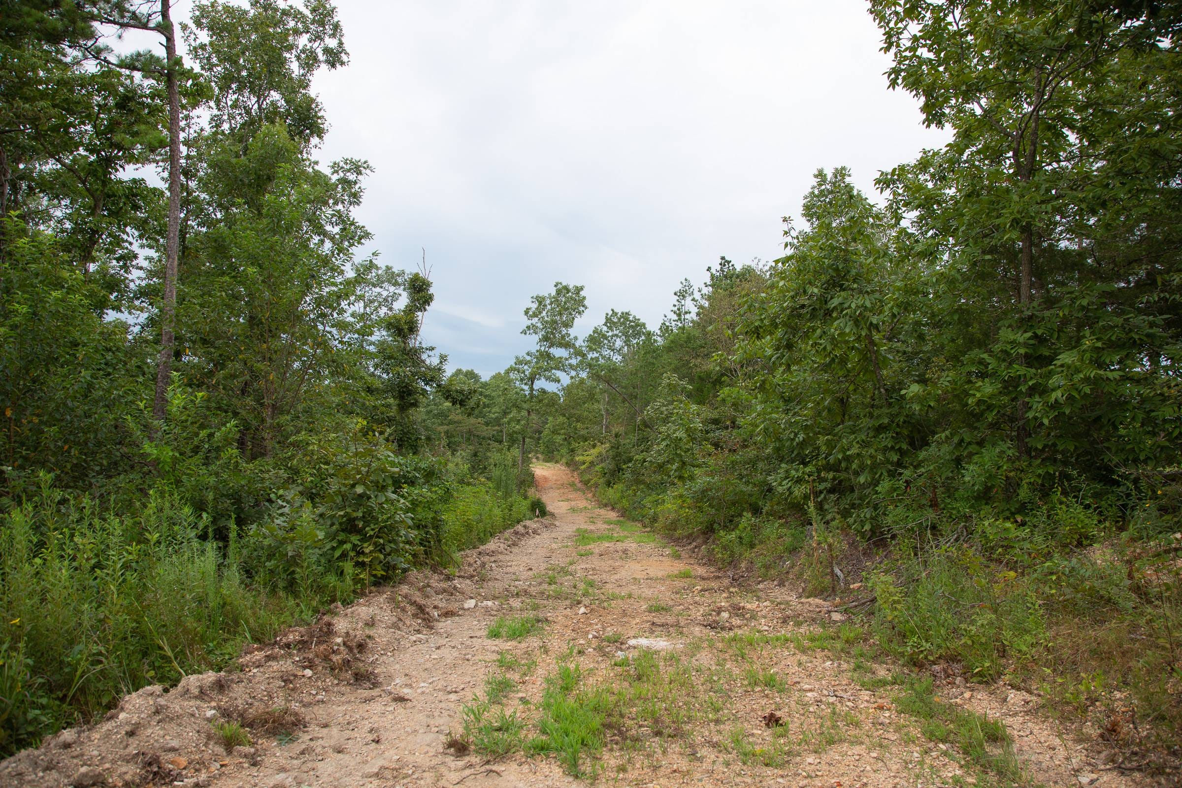 Borgmann’s Hollow Phase II Tract 35 photo 2