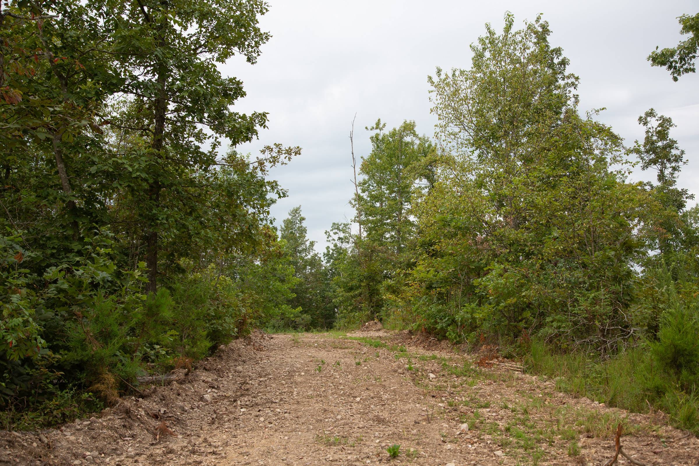 Borgmann’s Hollow Phase II Tract 35 photo 10