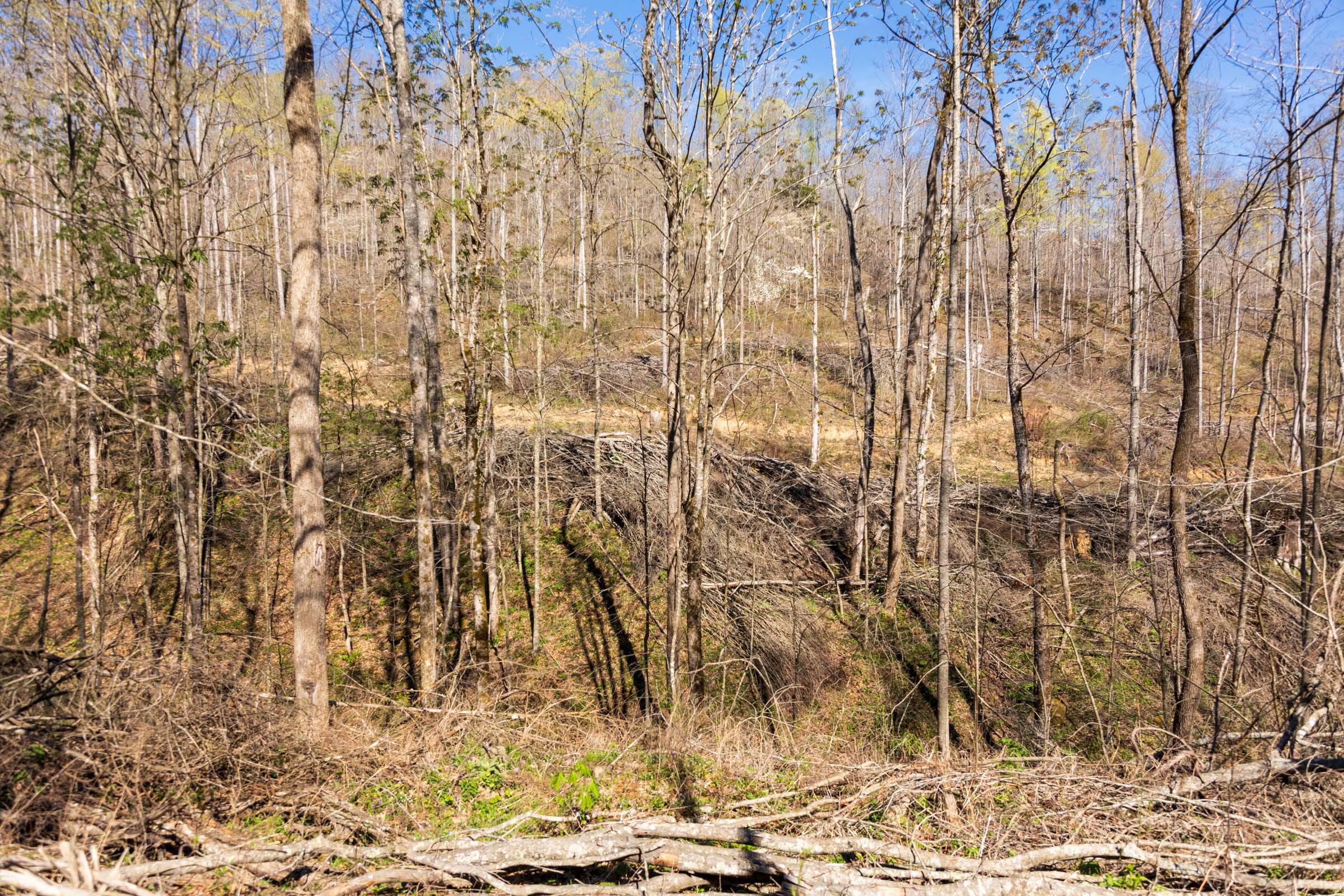 Creek Hollow Phase I Tract 42 photo 3