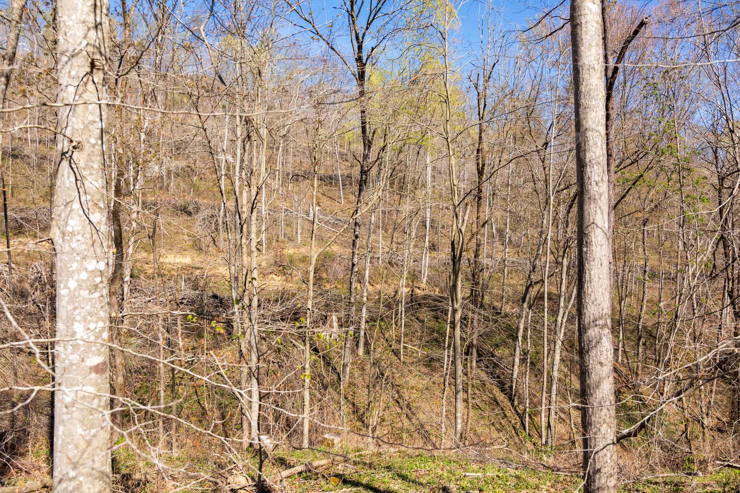 Creek Hollow Phase I Tract 42 photo 4