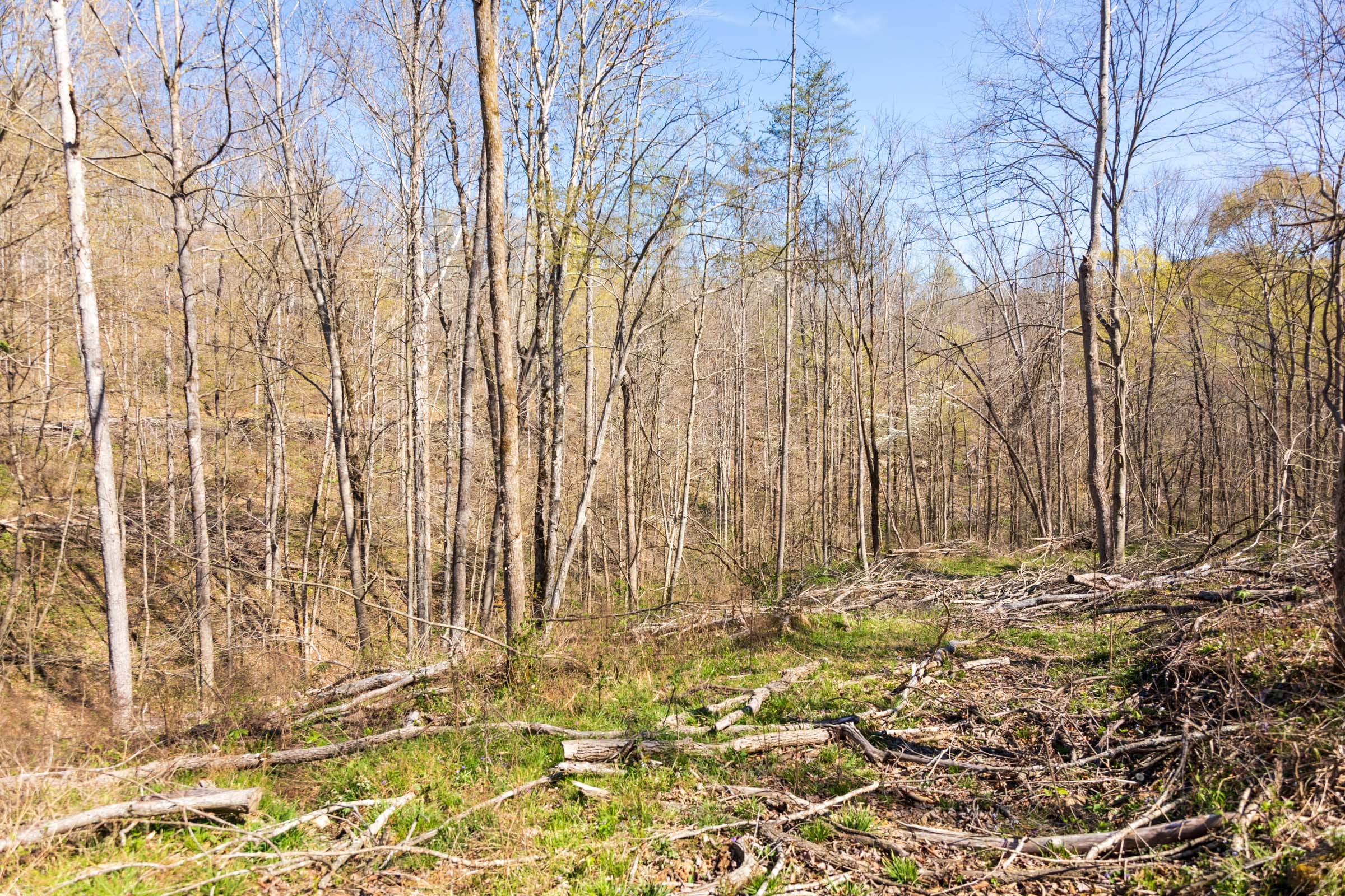 Creek Hollow Phase I Tract 42 photo 5