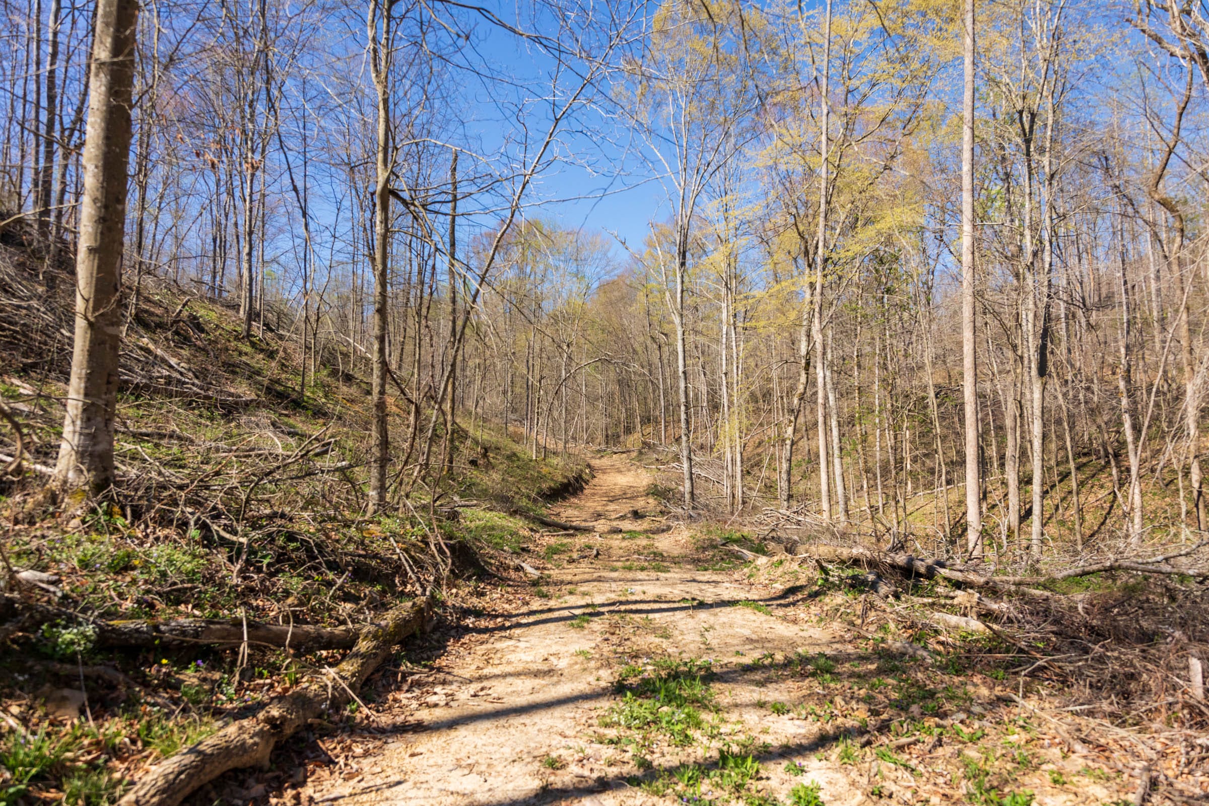Creek Hollow Phase I Tract 42 photo 1