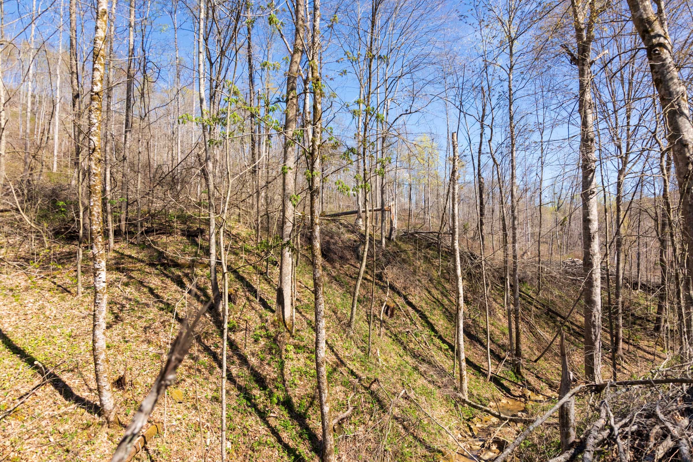 Creek Hollow Phase I Tract 42 photo 8