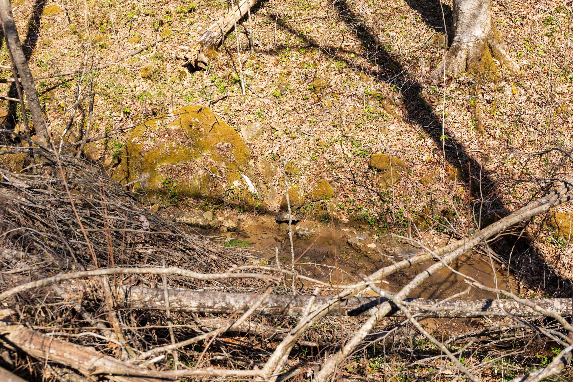 Creek Hollow Phase I Tract 42 photo 9