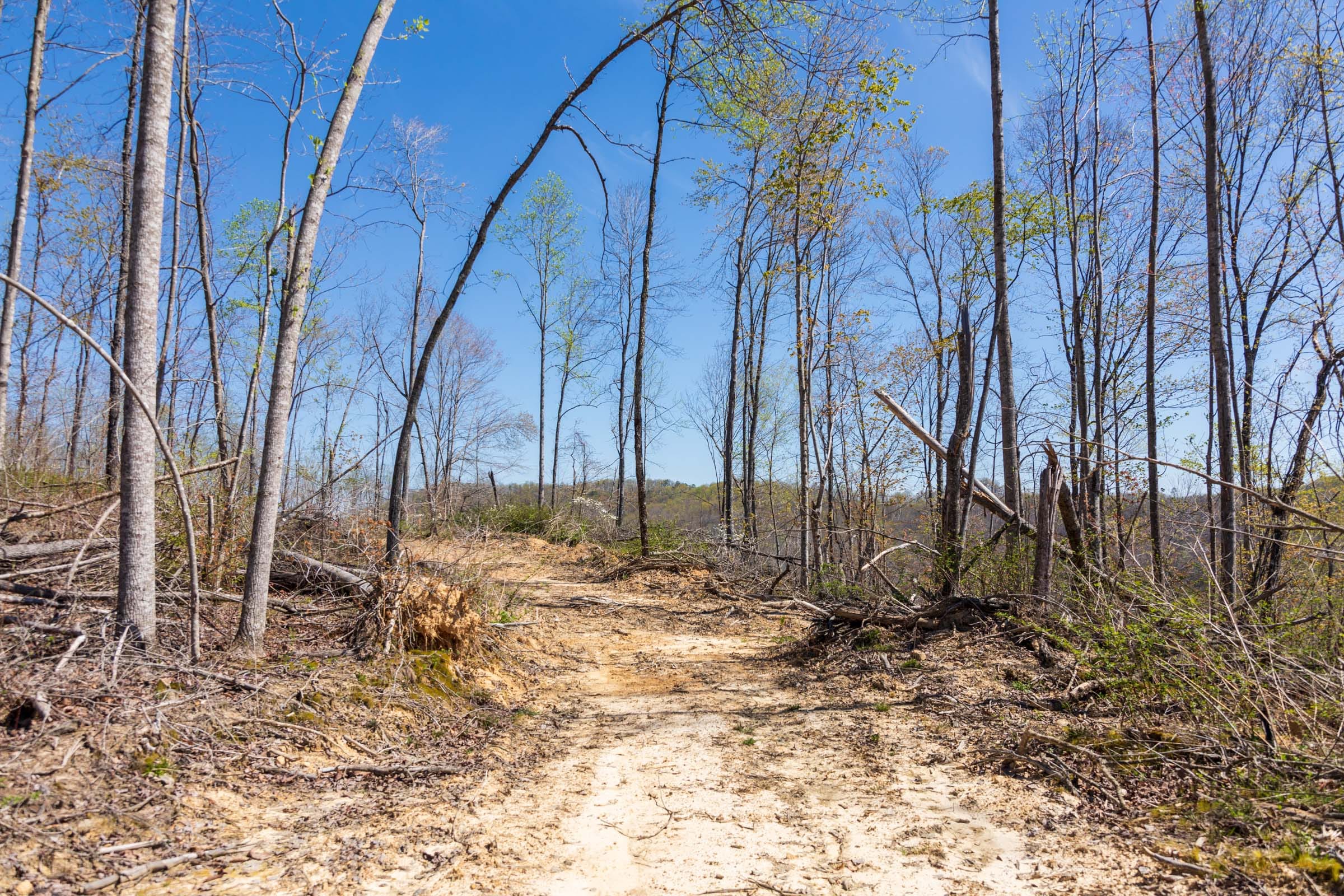Creek Hollow Phase I Tract 42 photo 6