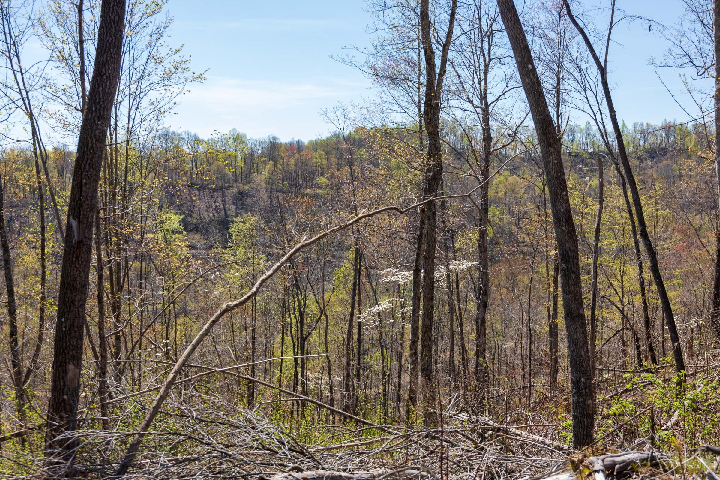 Creek Hollow Phase I Tract 42 photo 11