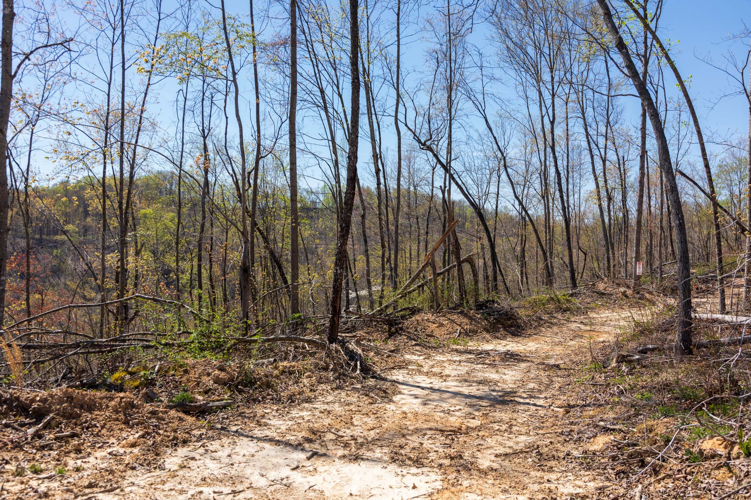 Creek Hollow Phase I Tract 42 photo 10