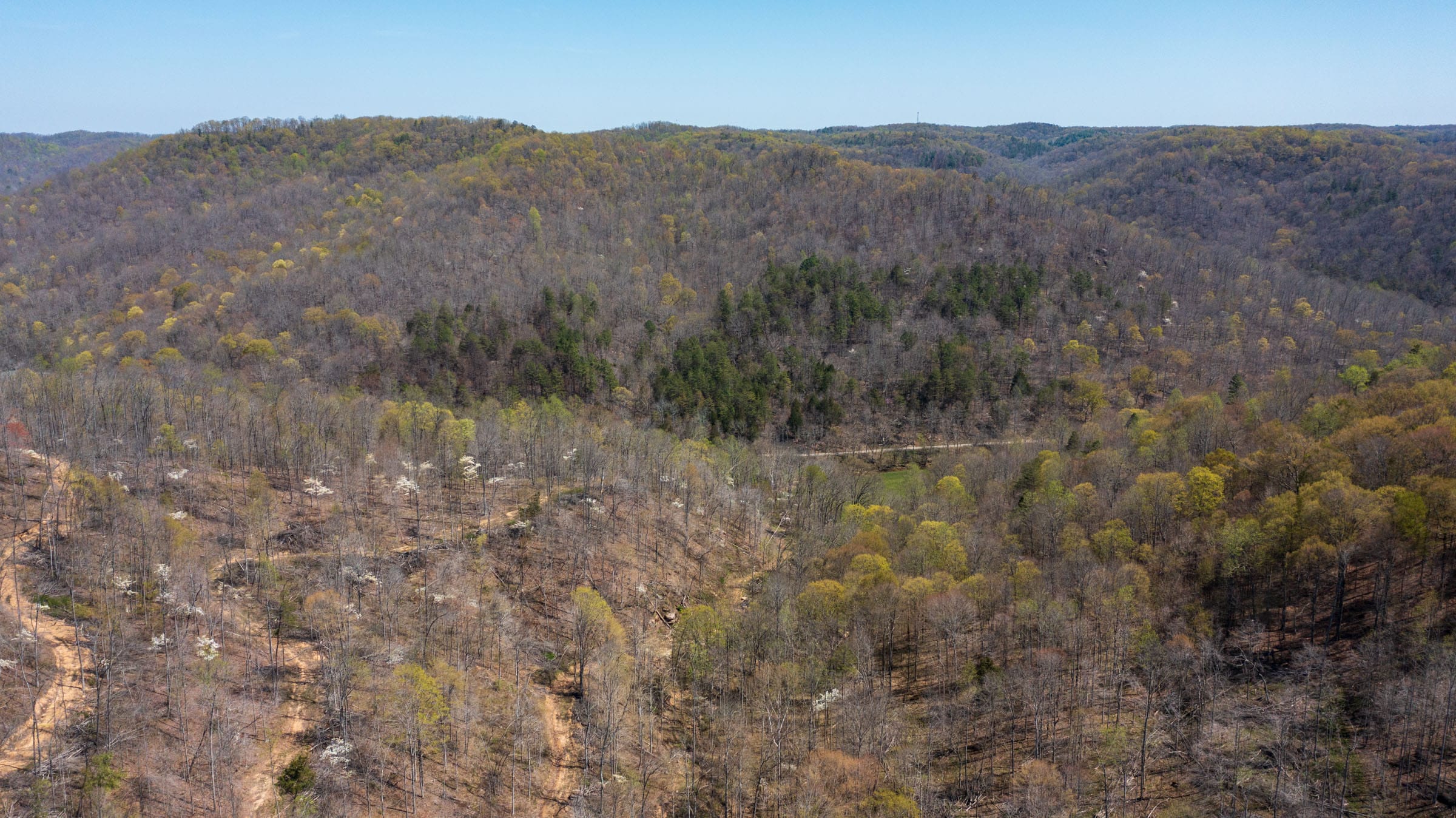 Creek Hollow Phase I Tract 42 photo 12