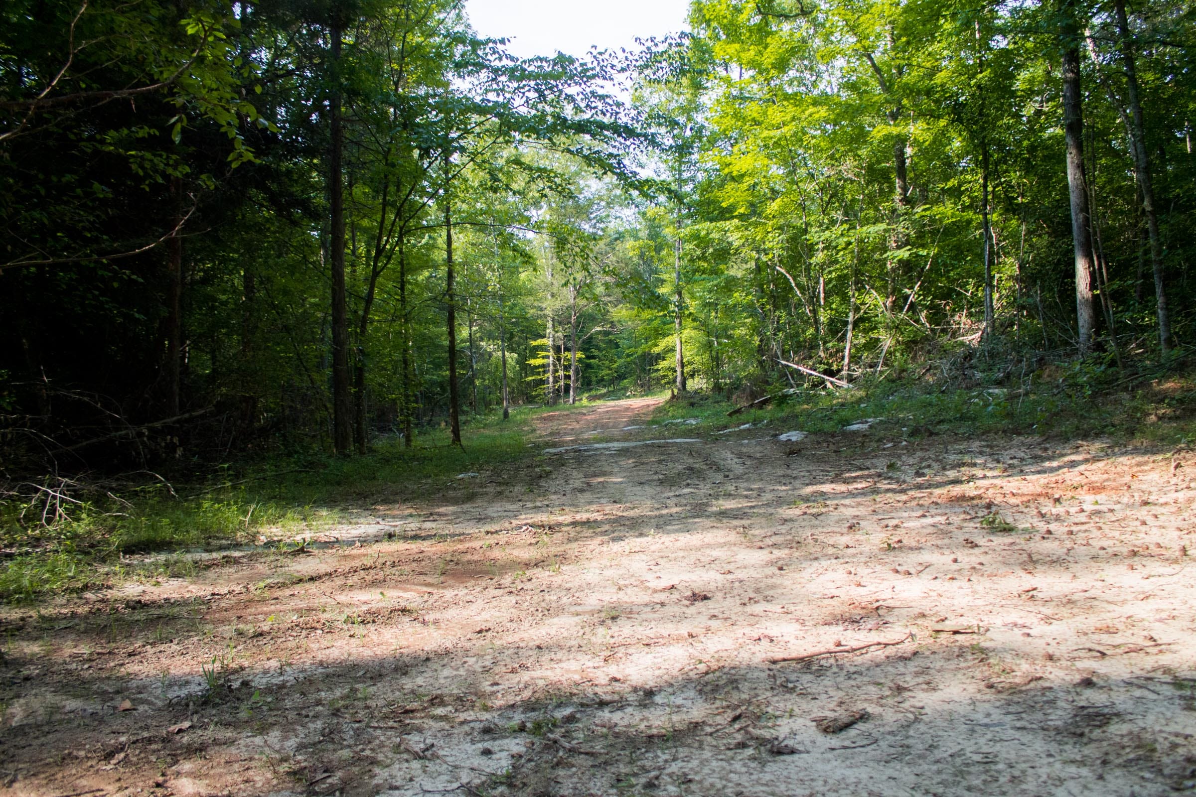 Bluewater Ridge Tract 26 photo 2