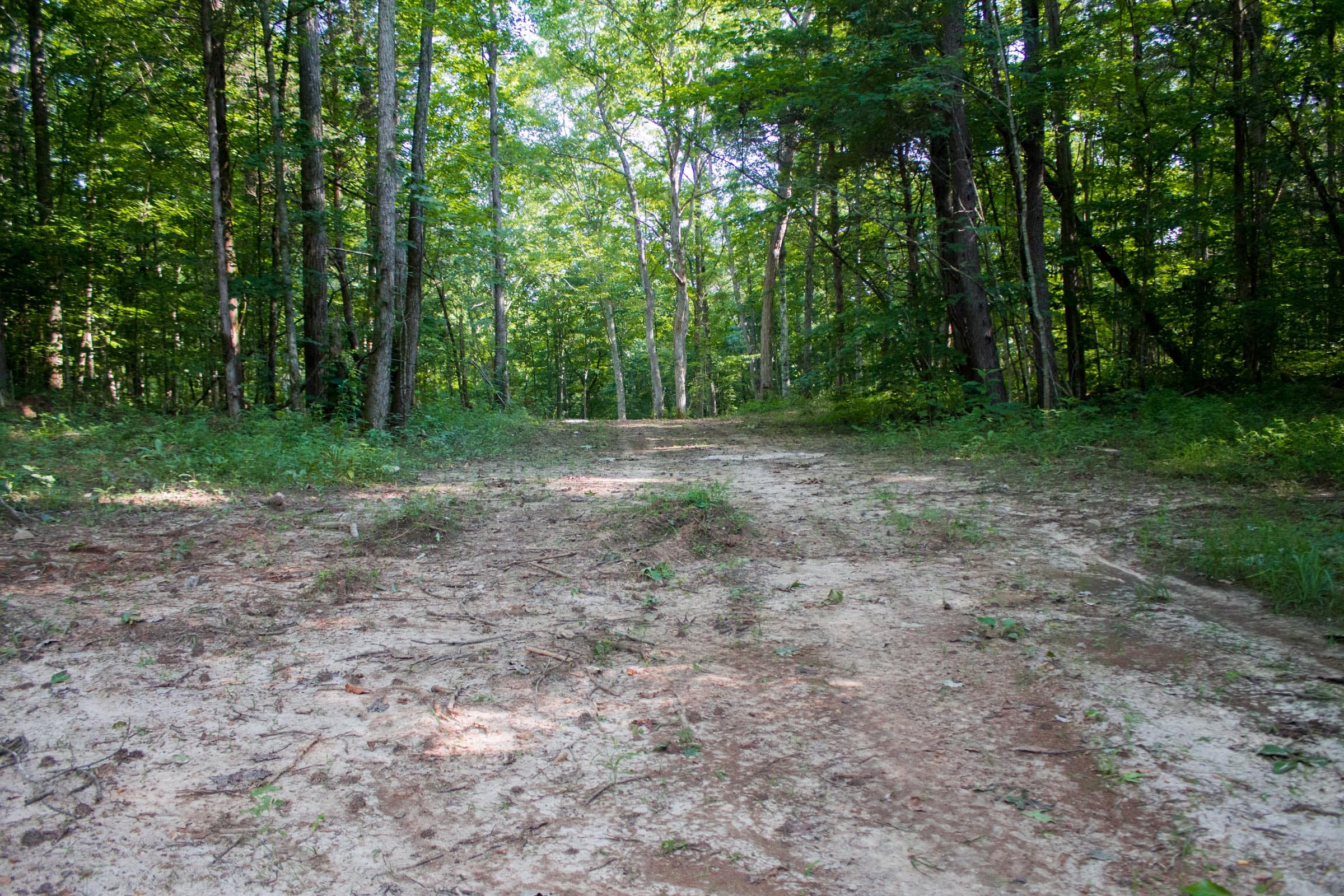 Bluewater Ridge Tract 26 photo 3
