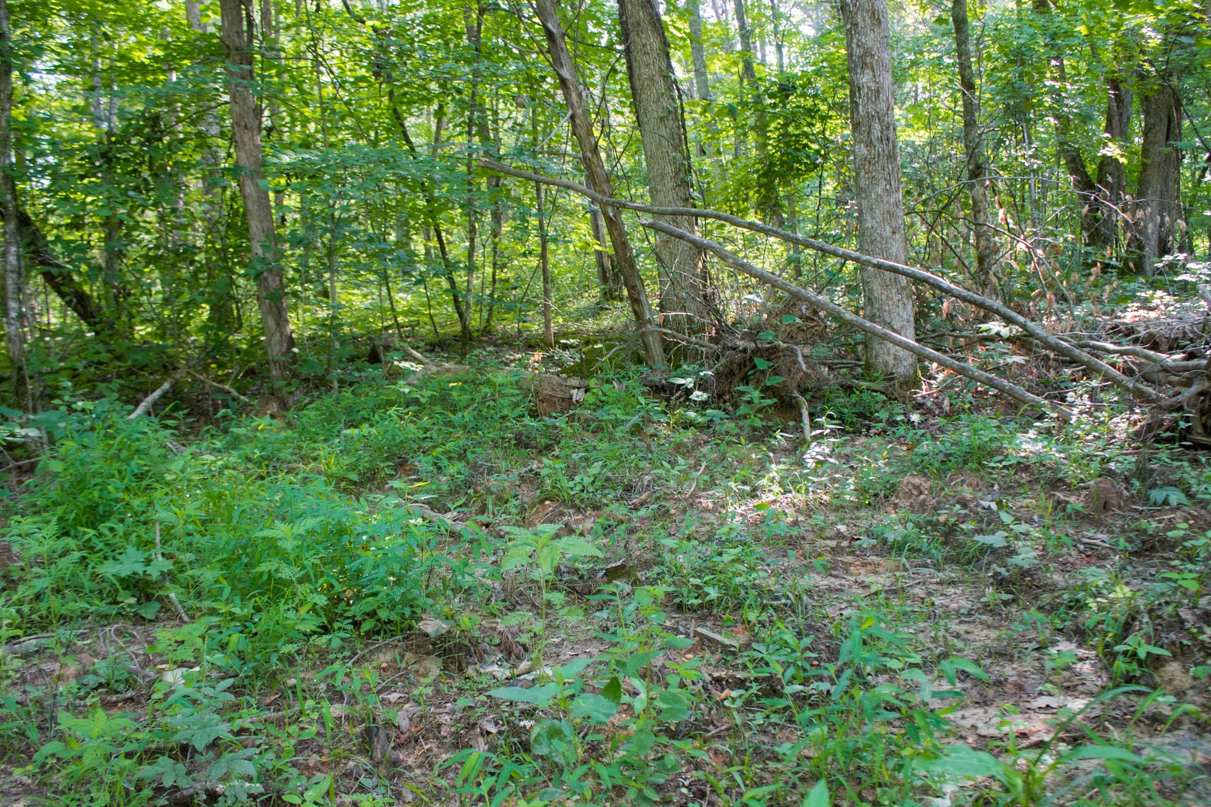 Bluewater Ridge Tract 26 photo 6