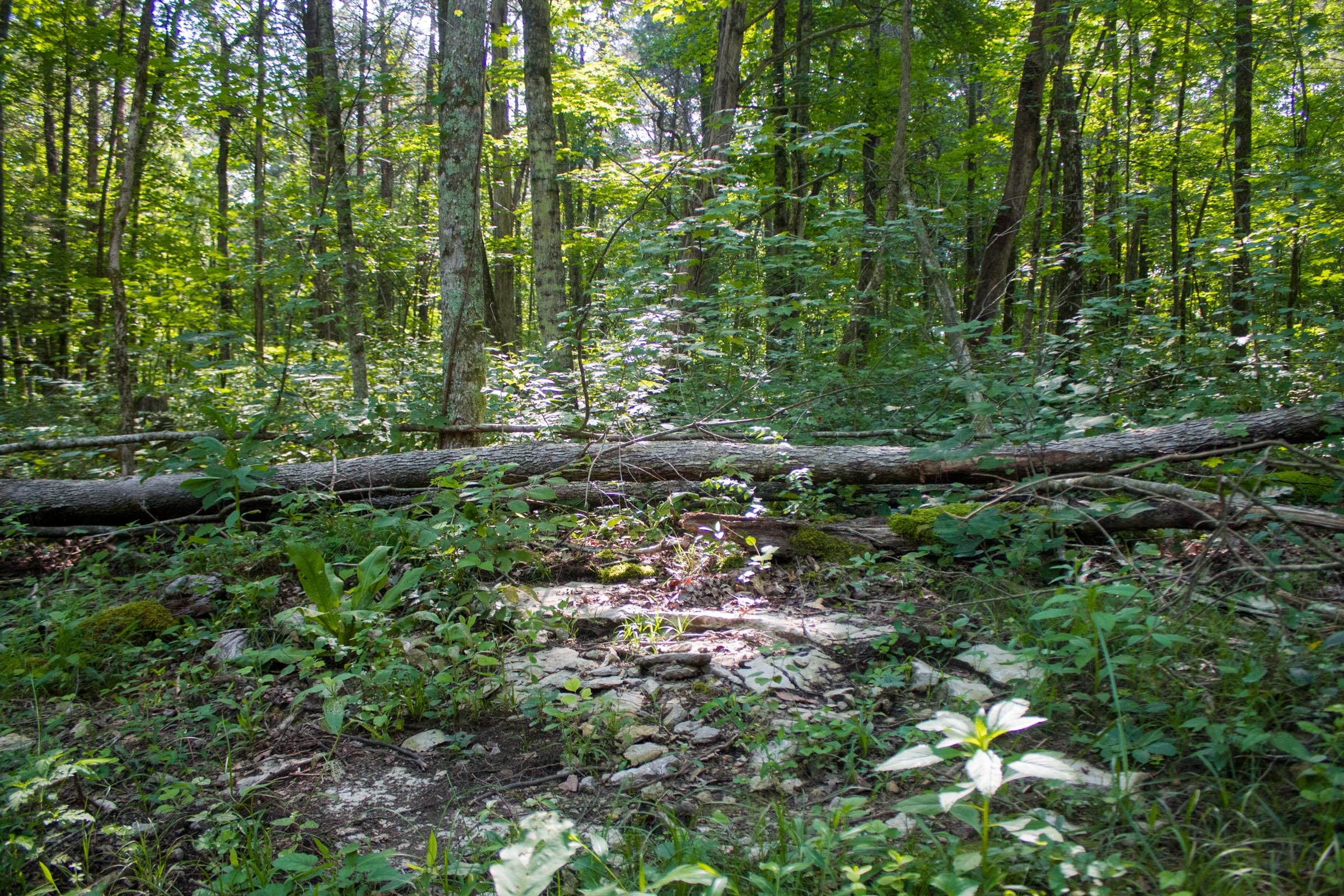 Bluewater Ridge Tract 26 photo 10