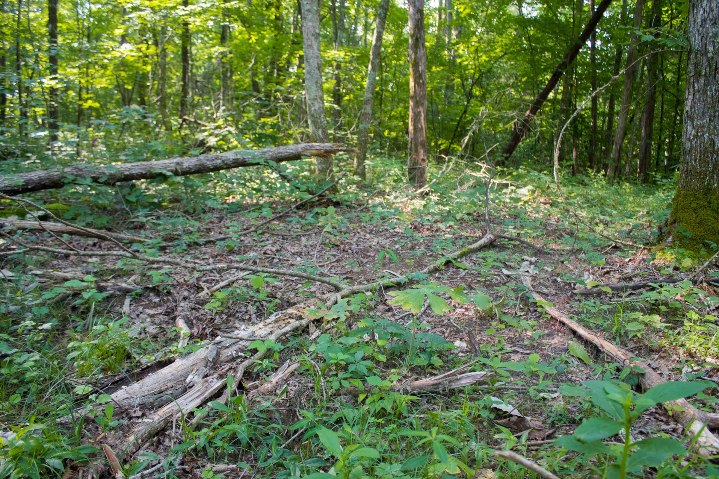 Bluewater Ridge Tract 26 photo 11