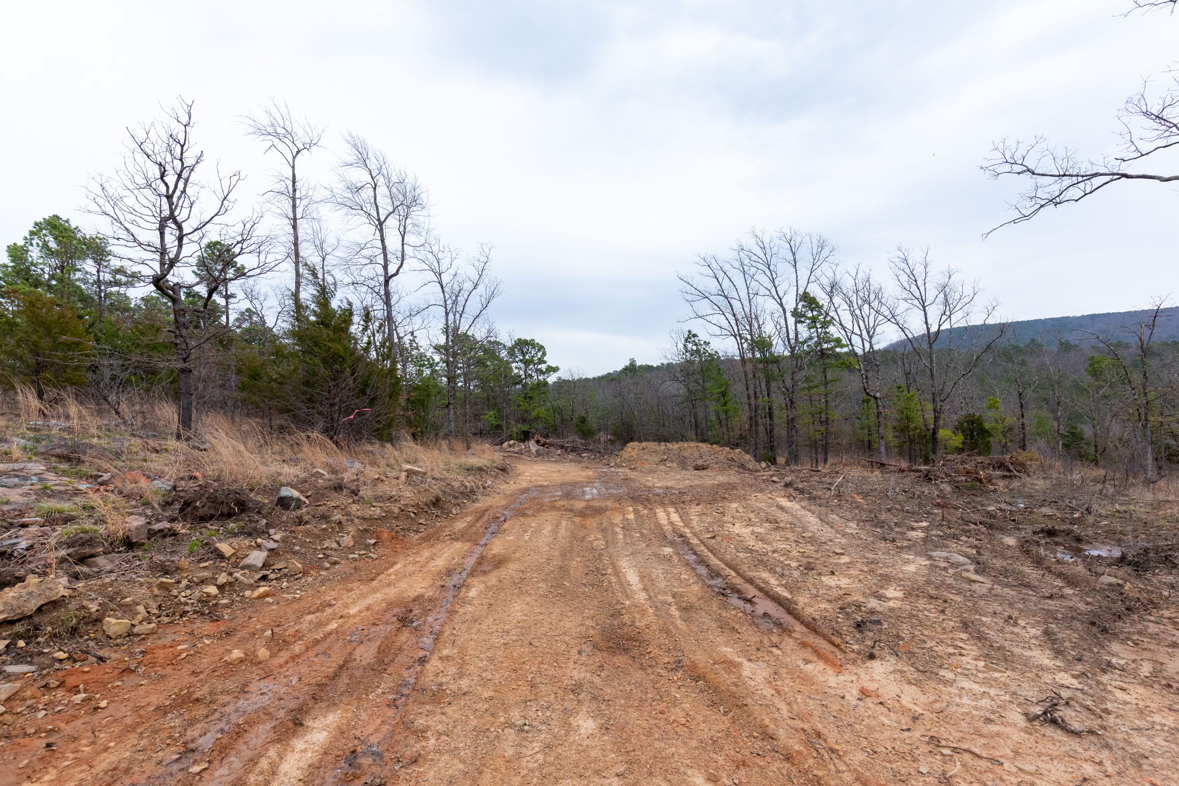 Stone Bridge Phase III Tract 138 photo 1