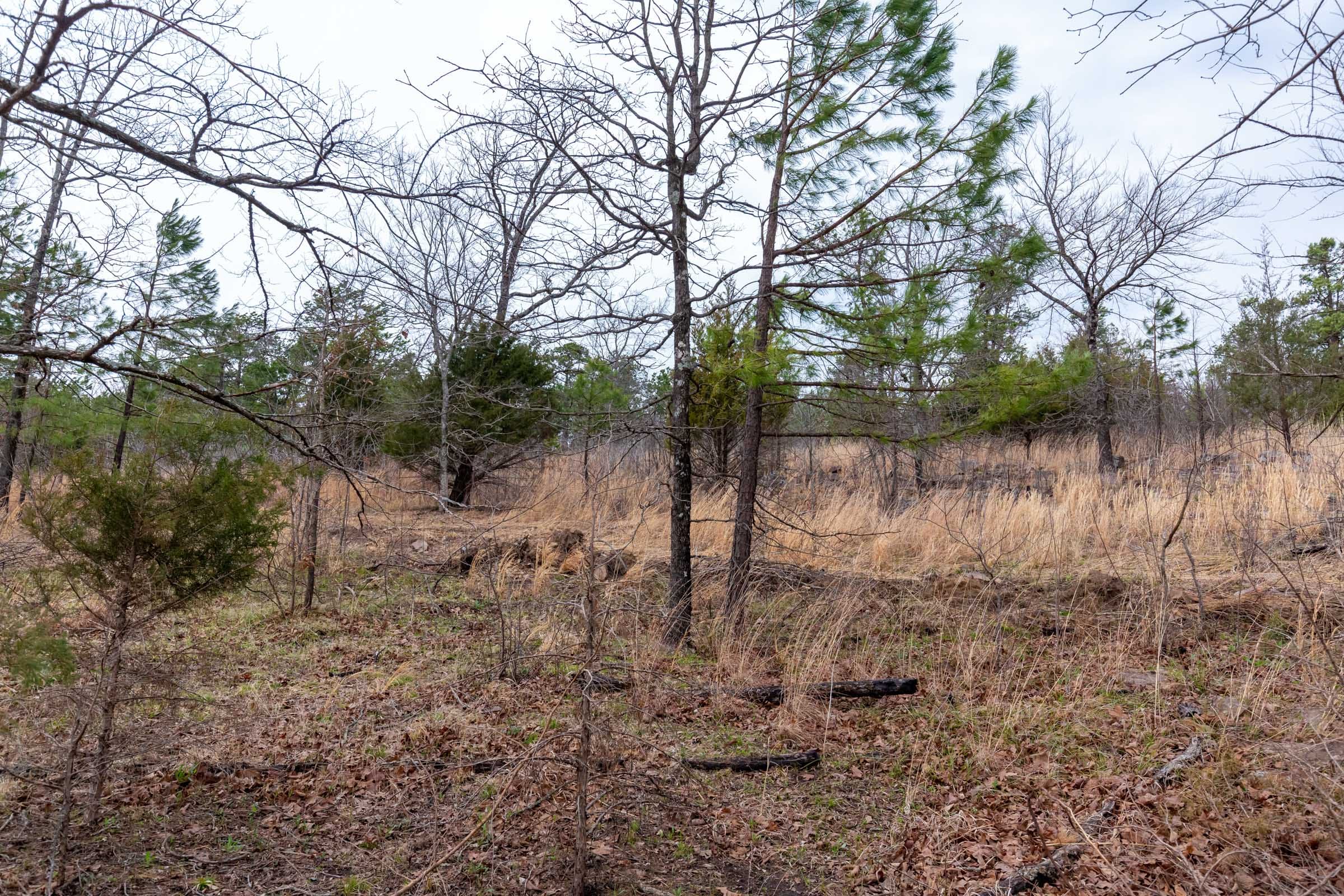 Stone Bridge Phase III Tract 138 photo 7