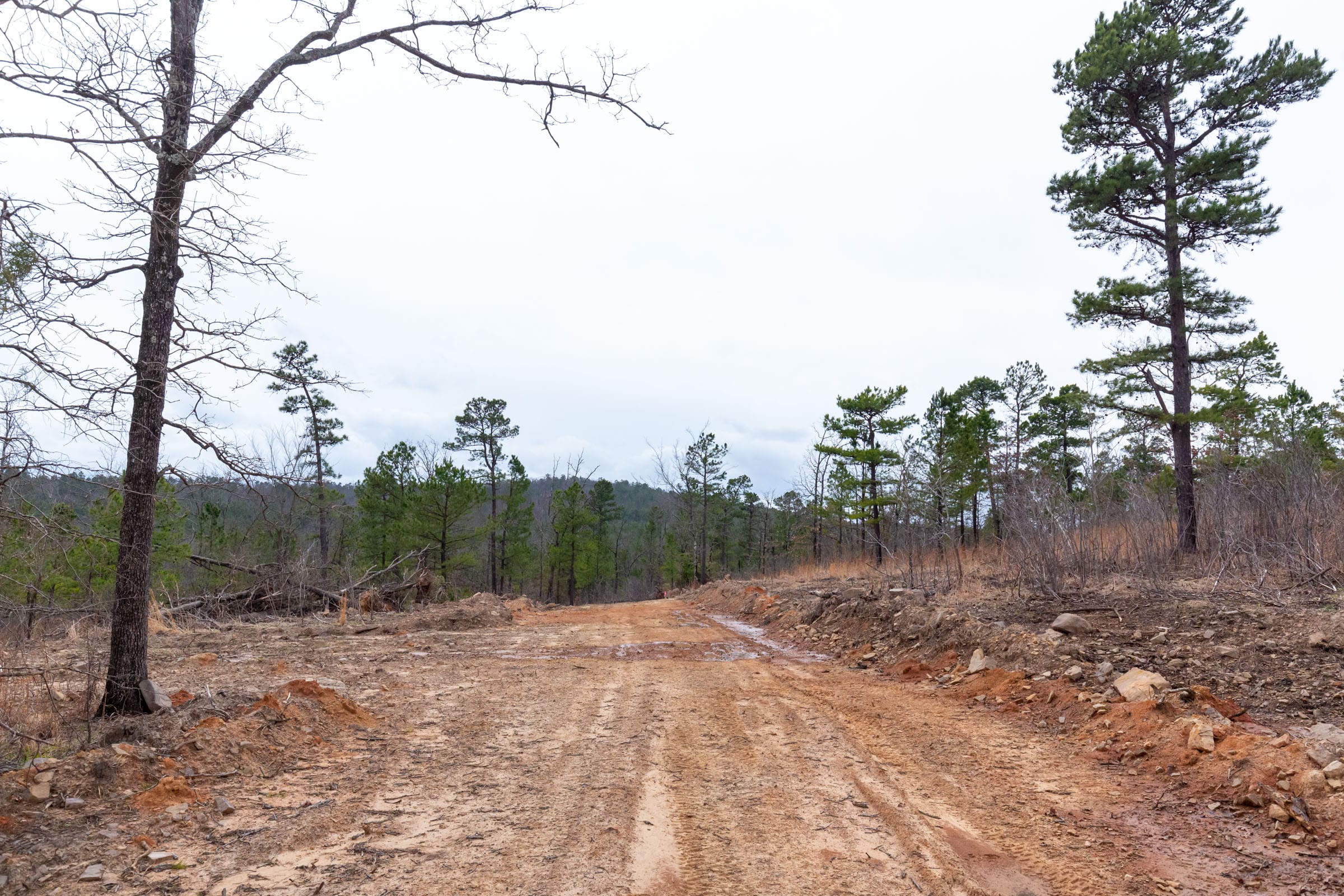 Stone Bridge Phase III Tract 138 photo 6