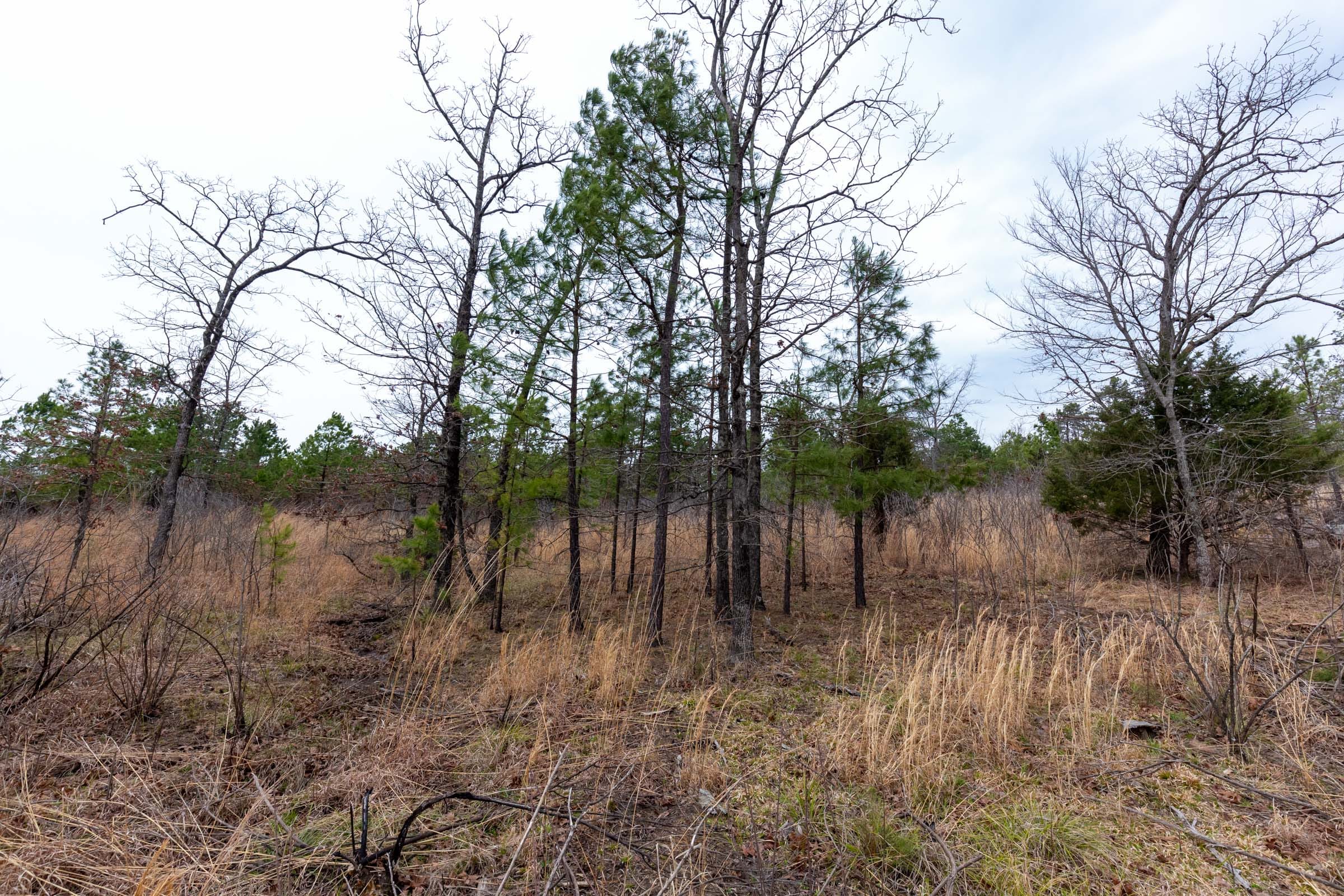 Stone Bridge Phase III Tract 138 photo 8