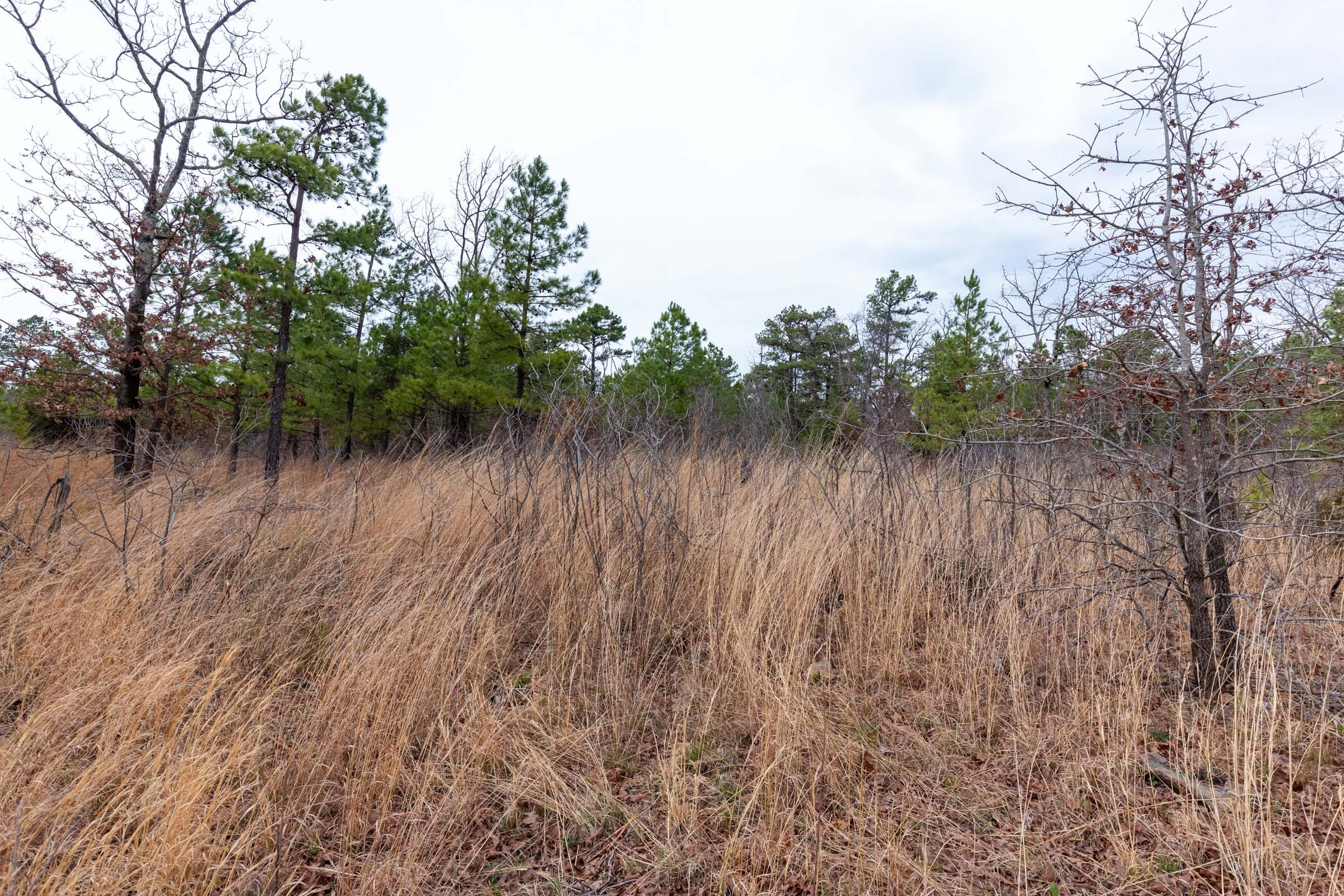 Stone Bridge Phase III Tract 138 photo 9