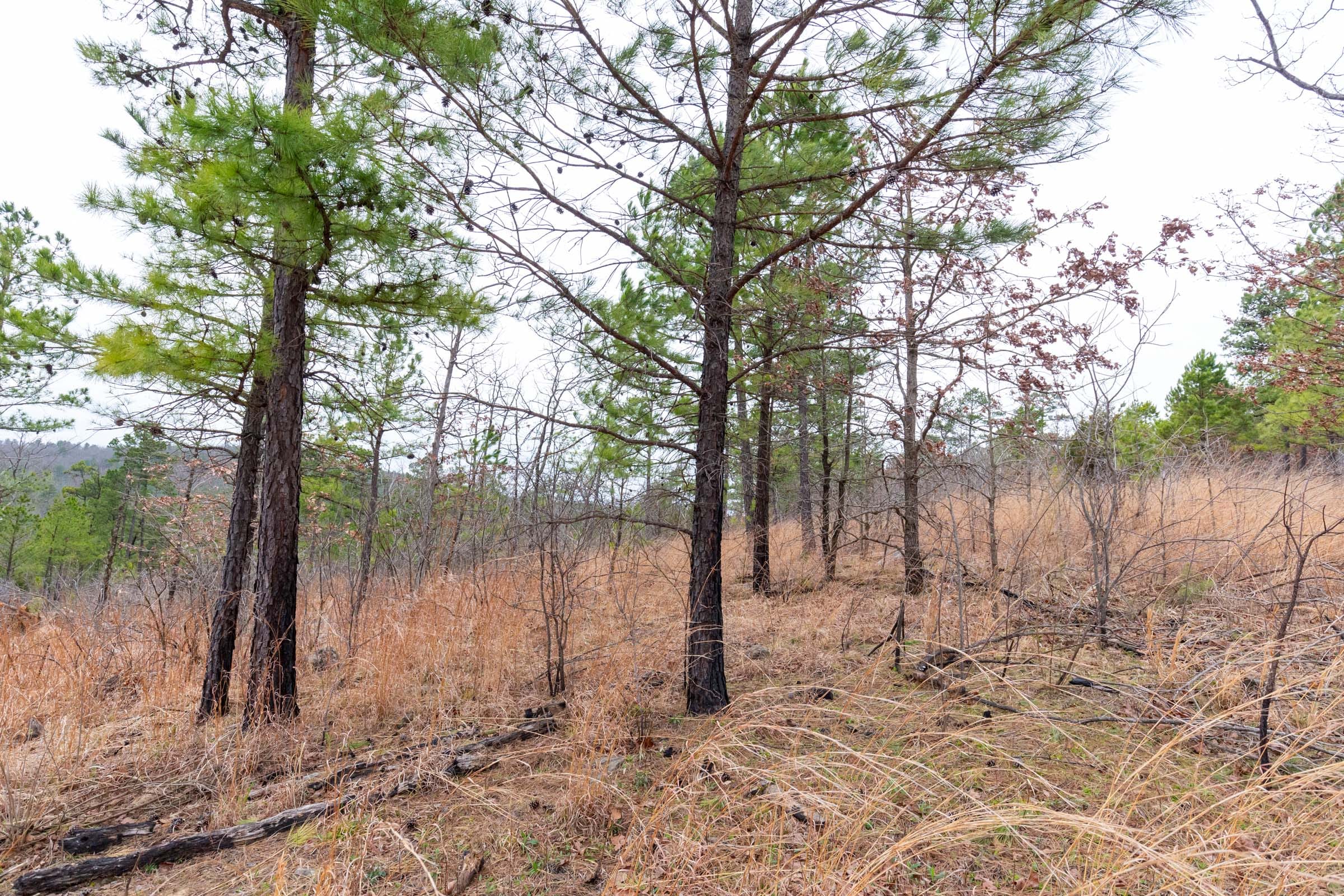 Stone Bridge Phase III Tract 138 photo 10