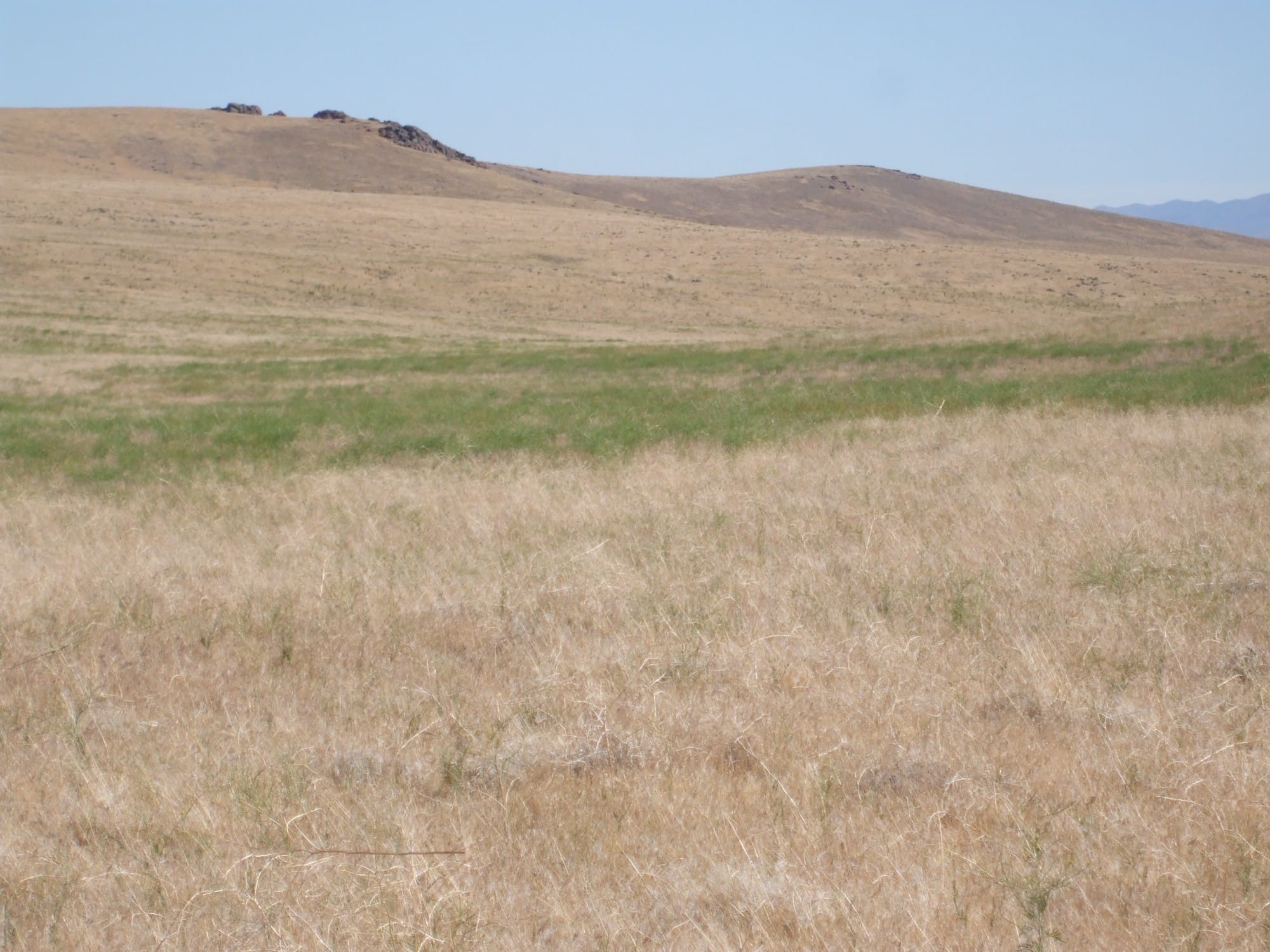 Elko County Tract 320 photo 6