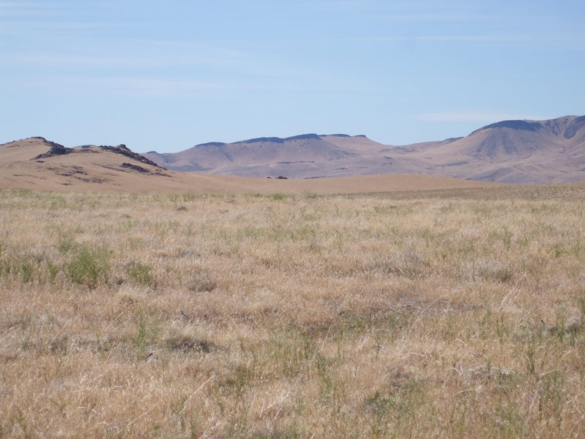 Elko County Tract 320 photo 7