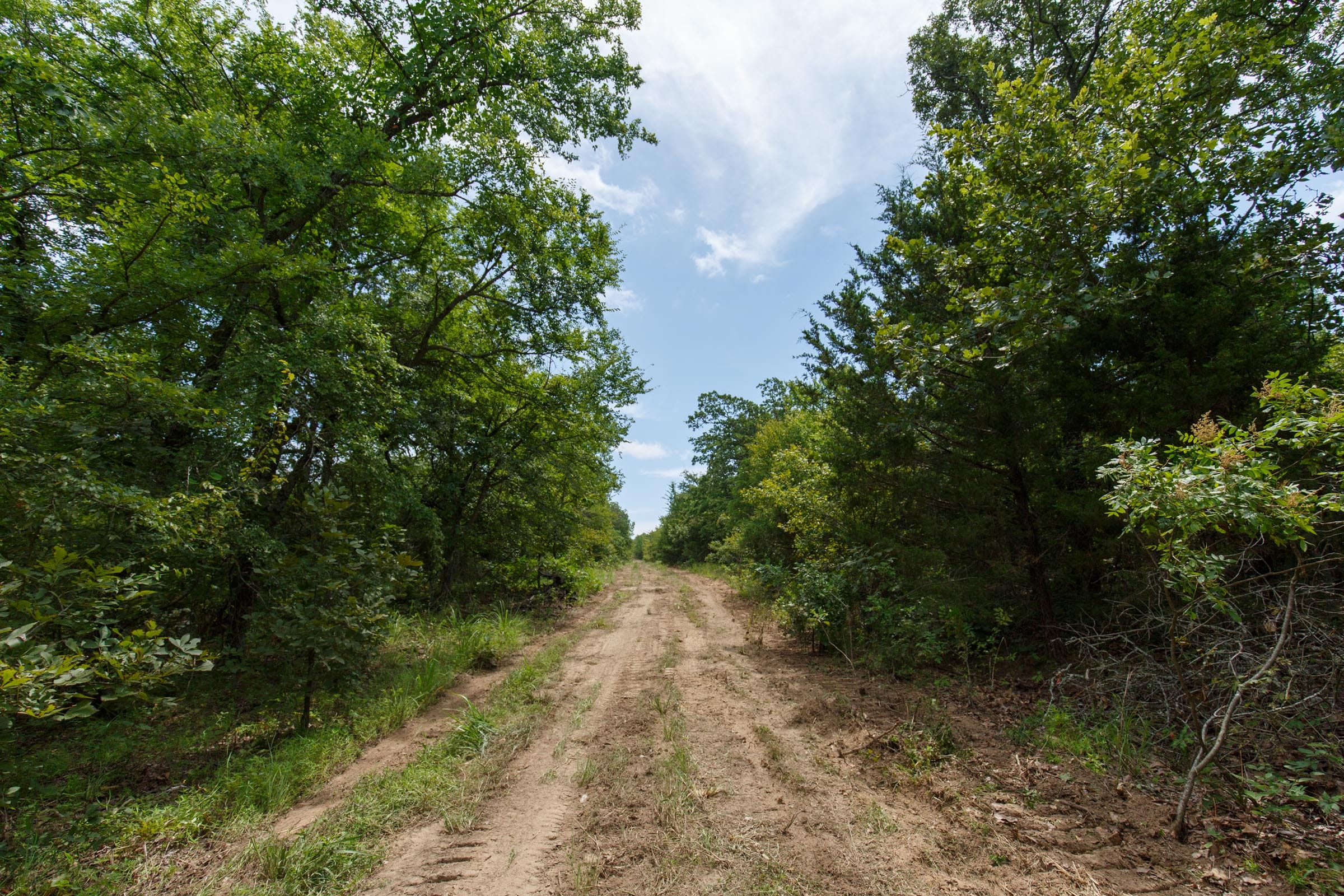 Timber Ridge Tract 32 photo 1