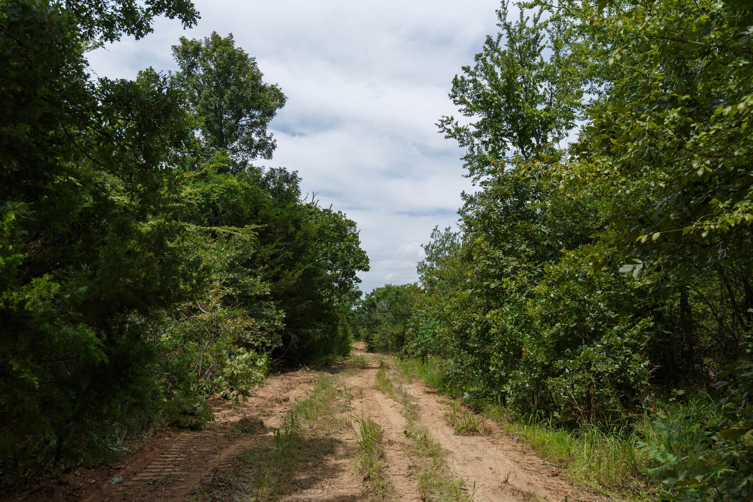 Timber Ridge Tract 32 photo 5
