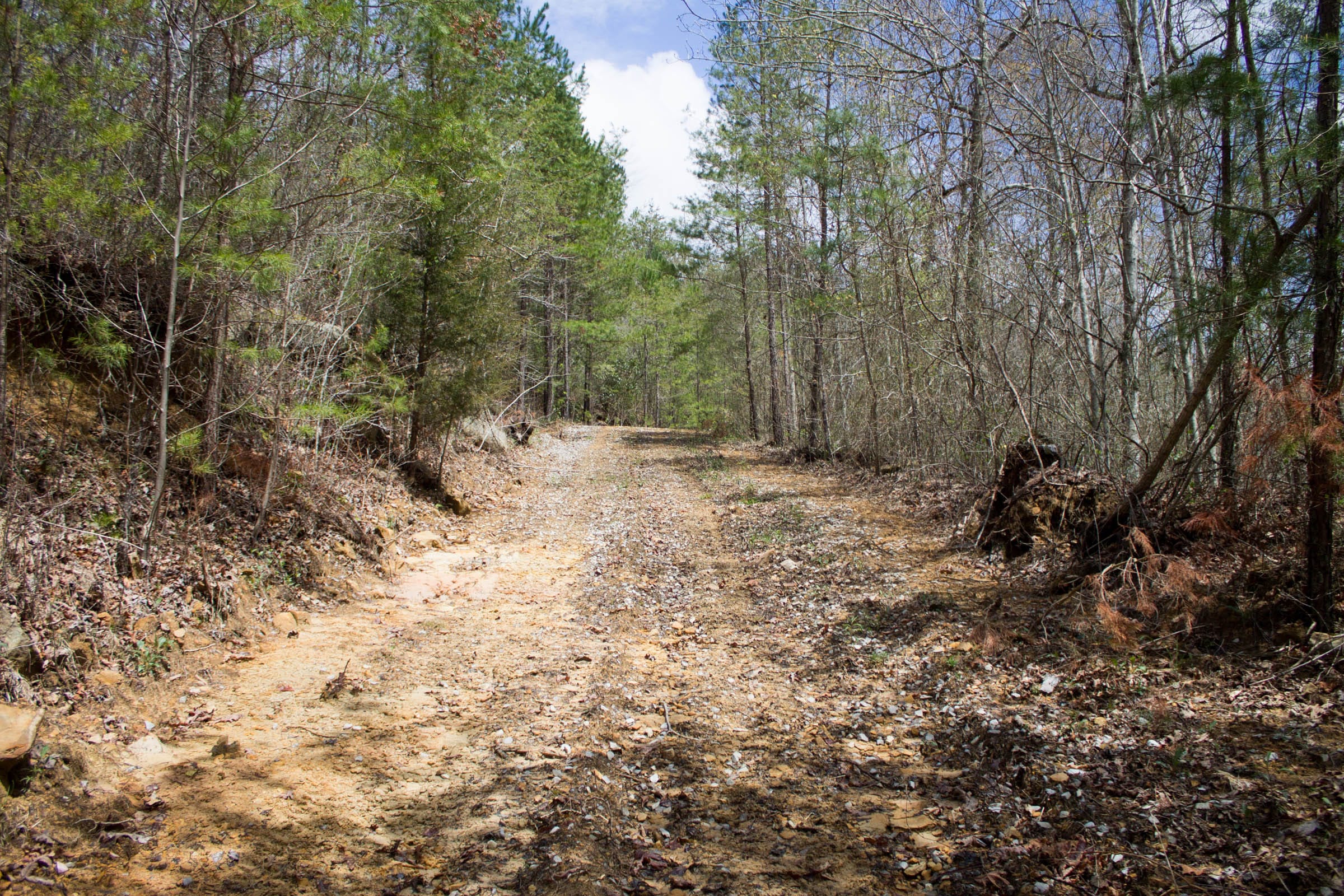 Hidden Hills Tract 29 photo 1