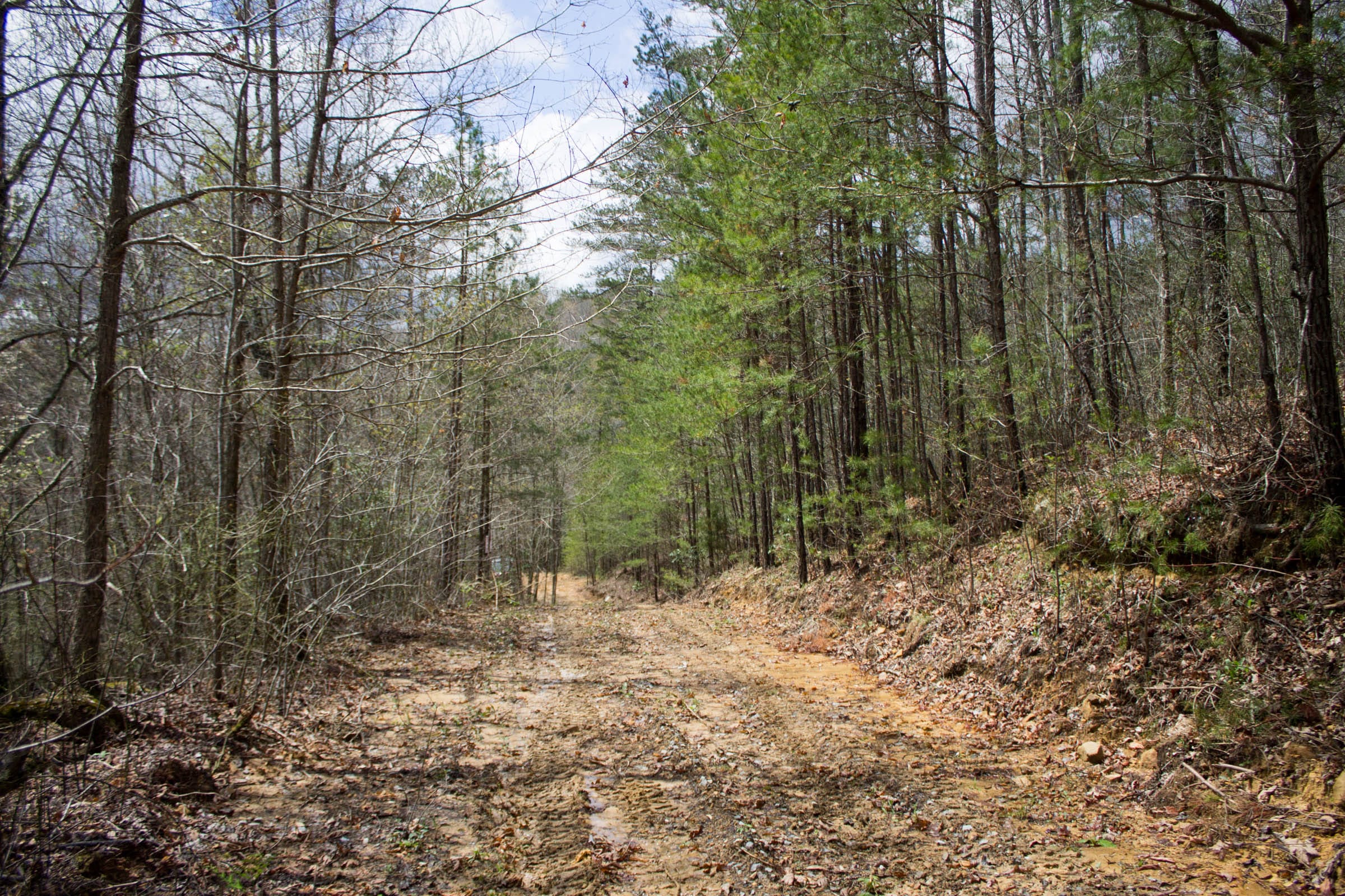 Hidden Hills Tract 29 photo 2