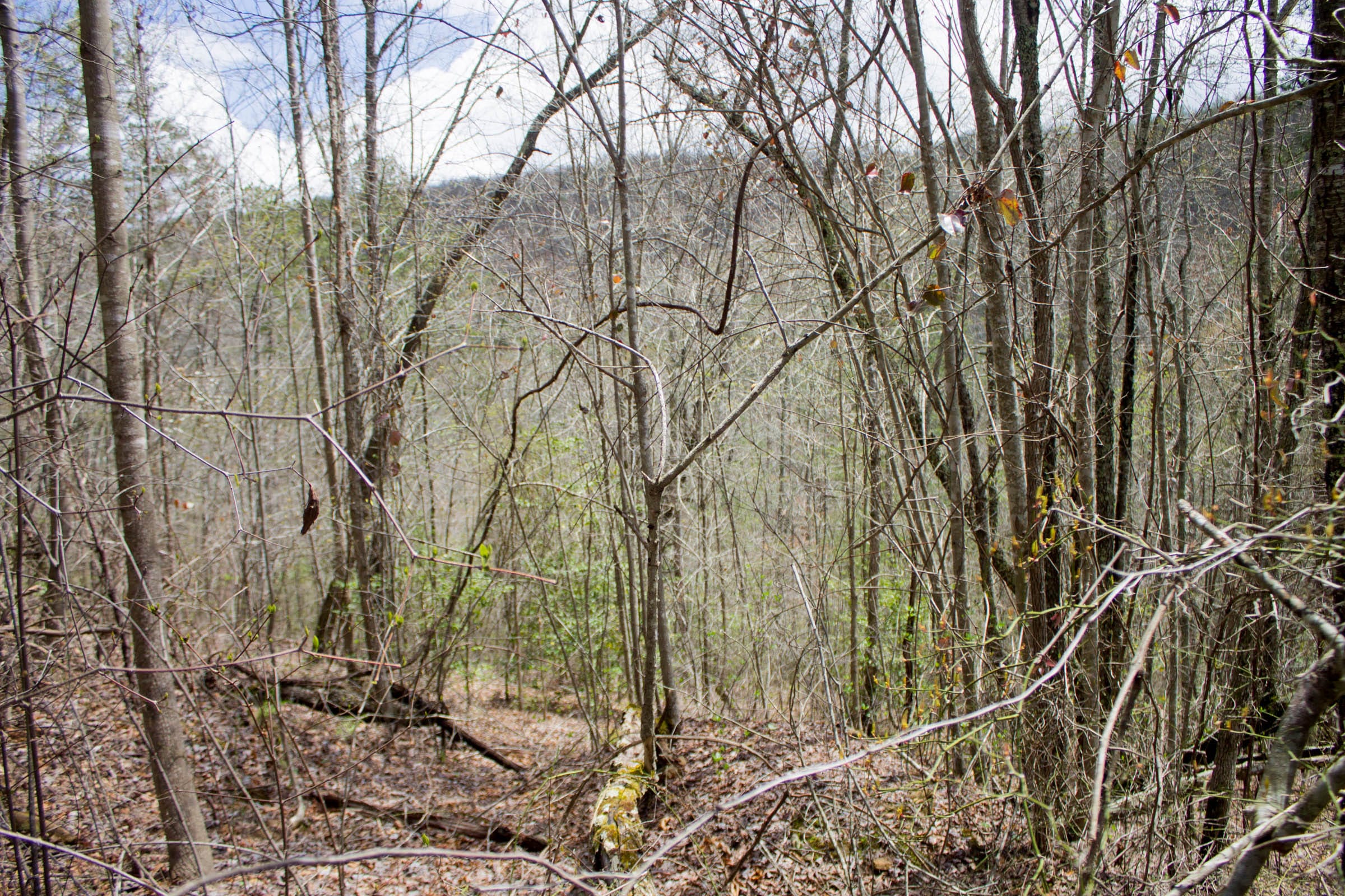 Hidden Hills Tract 29 photo 3