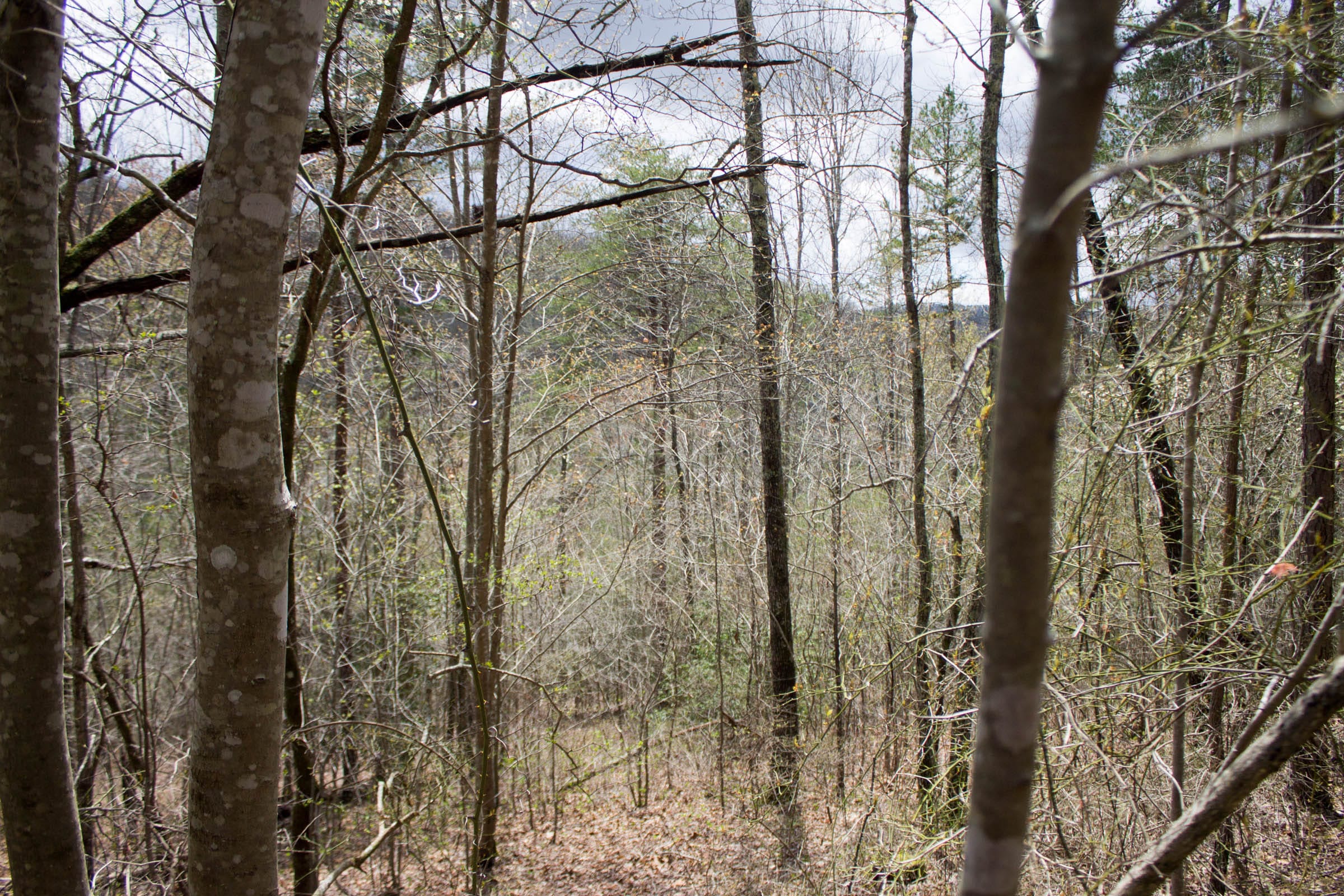 Hidden Hills Tract 29 photo 4