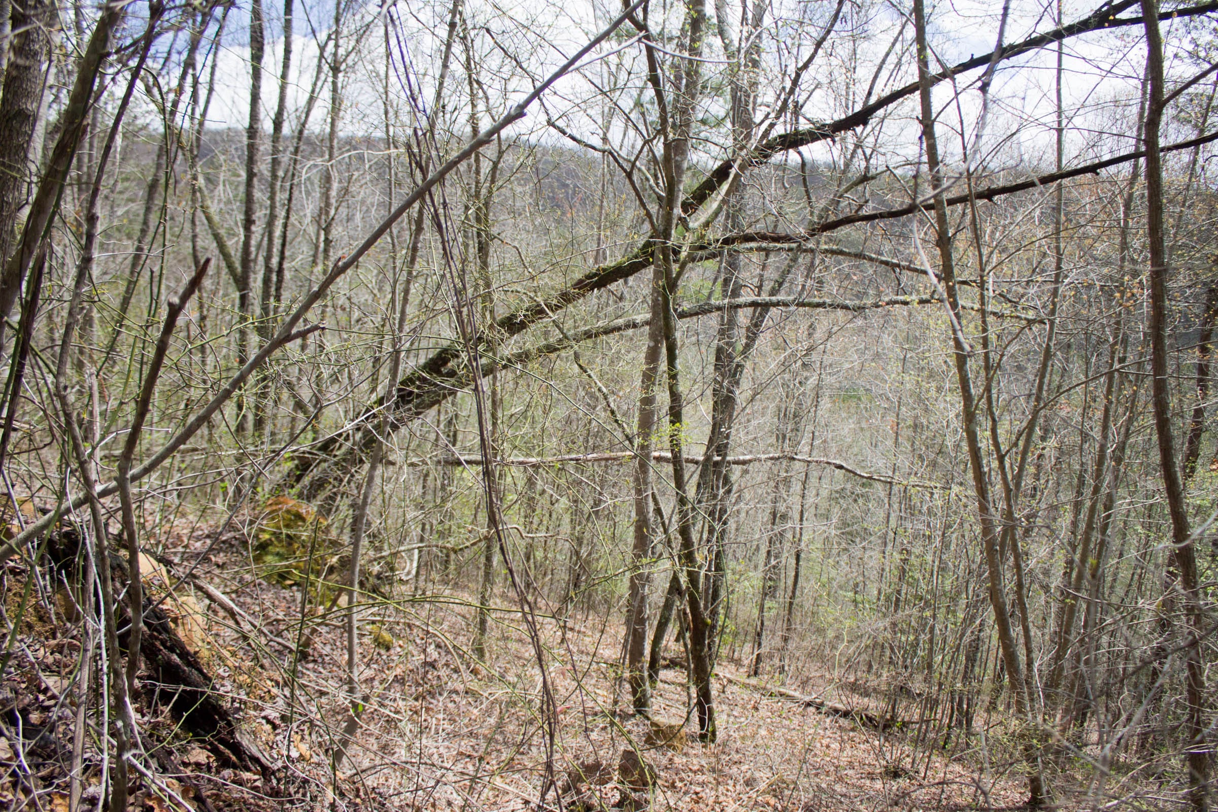 Hidden Hills Tract 29 photo 5