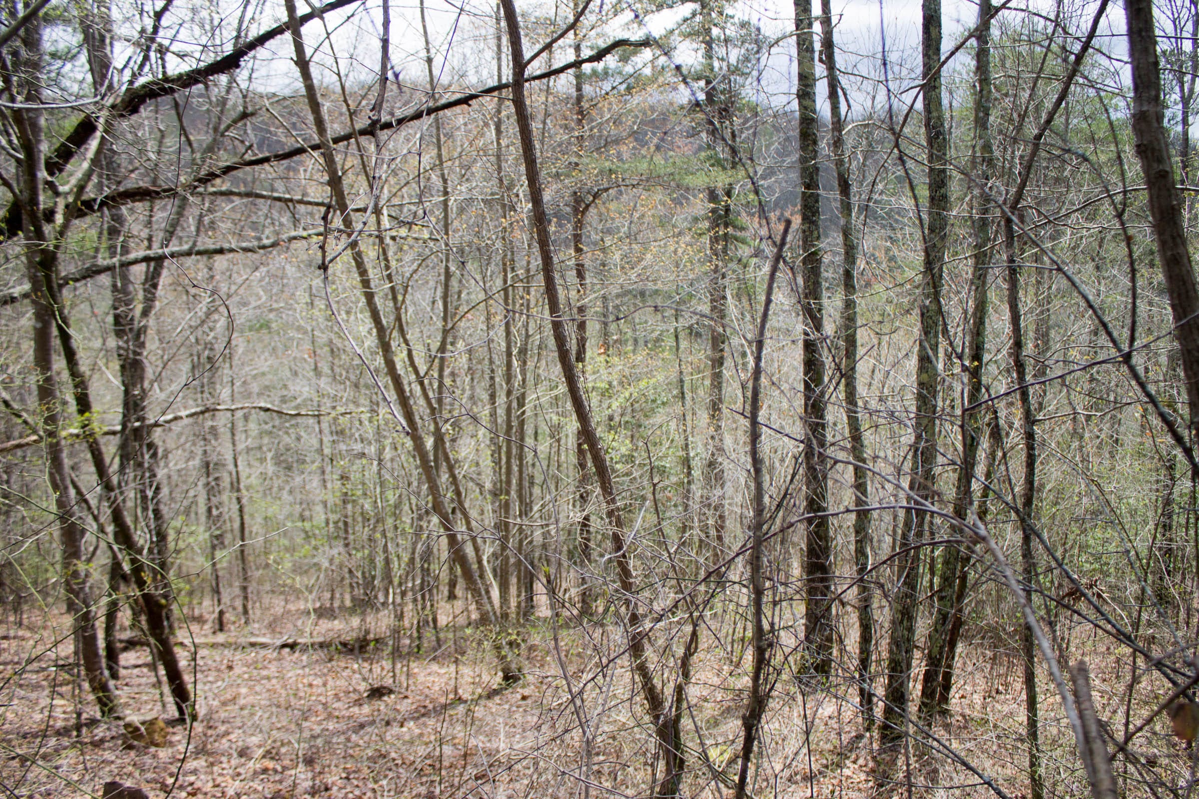 Hidden Hills Tract 29 photo 6