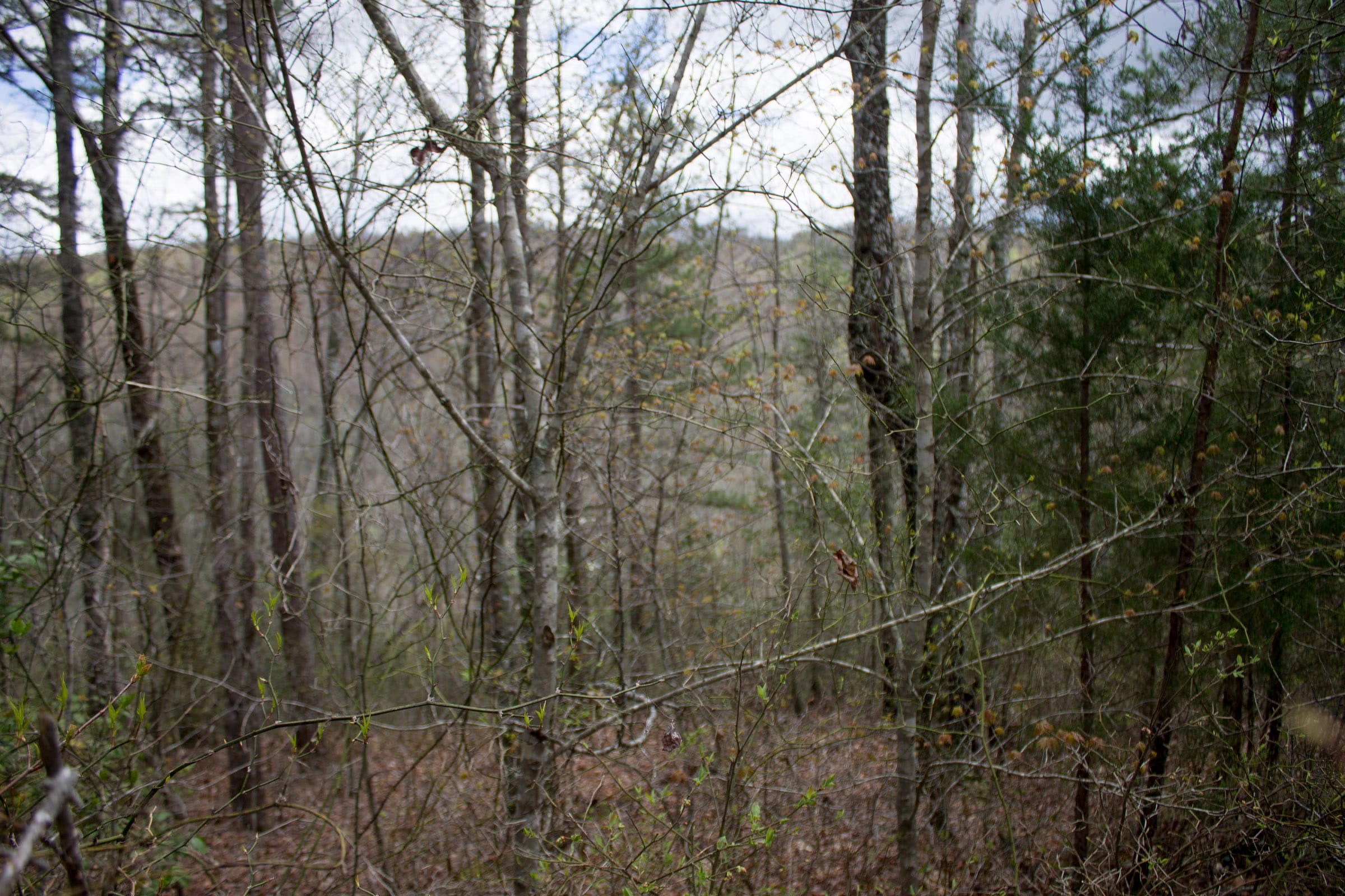 Hidden Hills Tract 29 photo 8