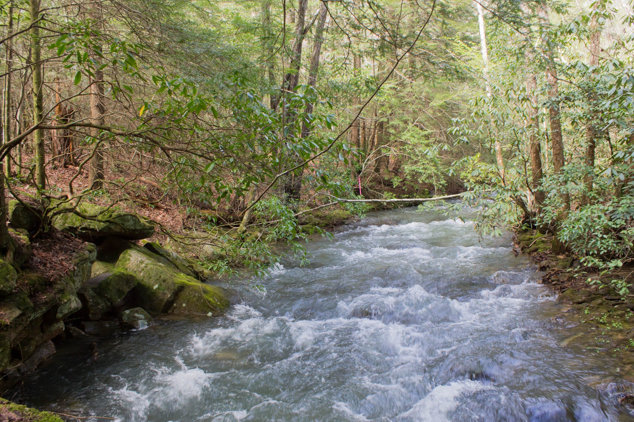 Hidden Hills Tract 29 photo 10