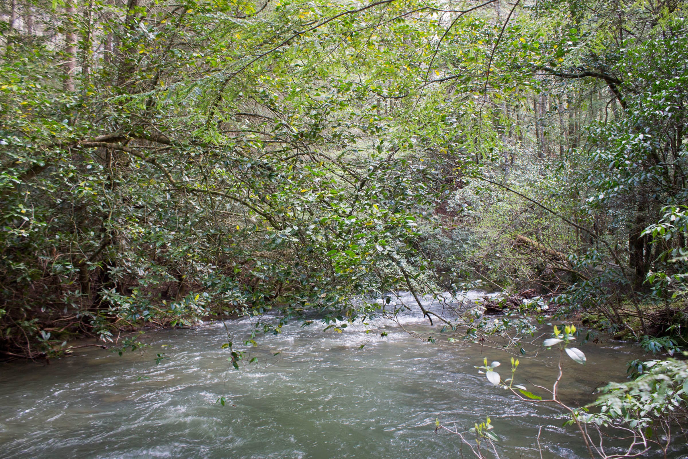 Hidden Hills Tract 29 photo 12