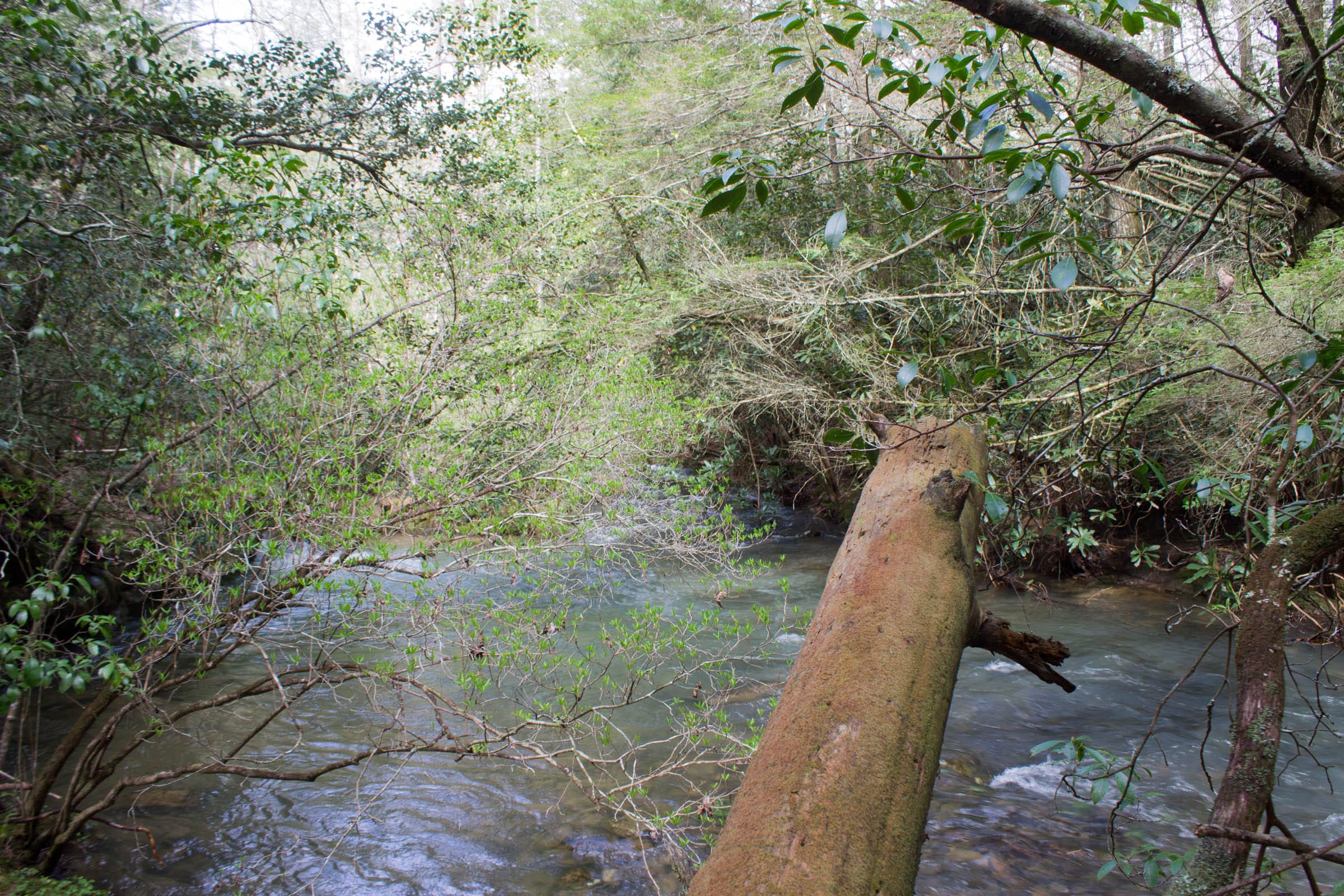 Hidden Hills Tract 29 photo 18